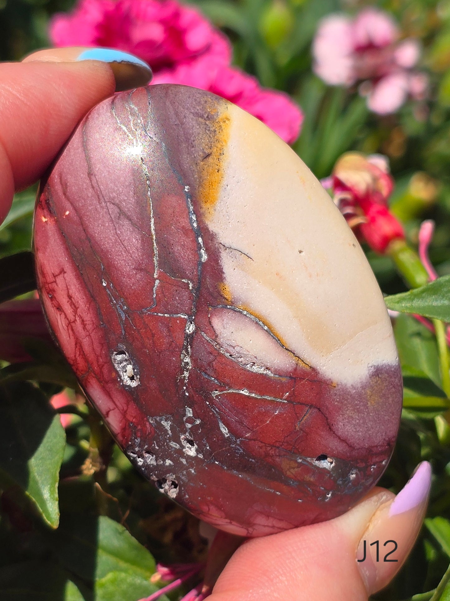 Various Palm Stones ✨️