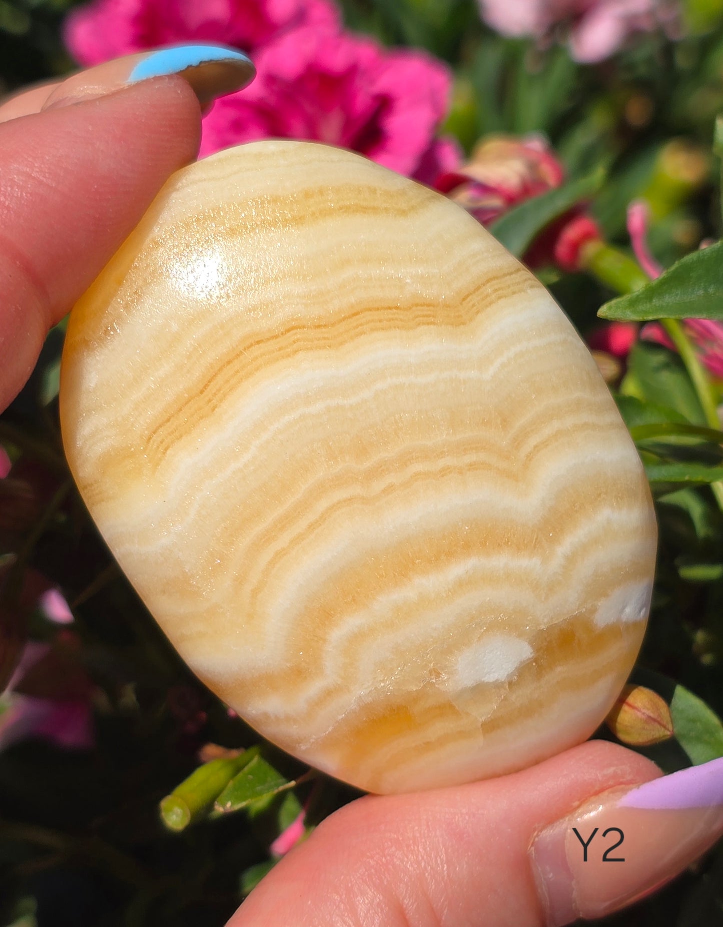 Various Palm Stones ✨️