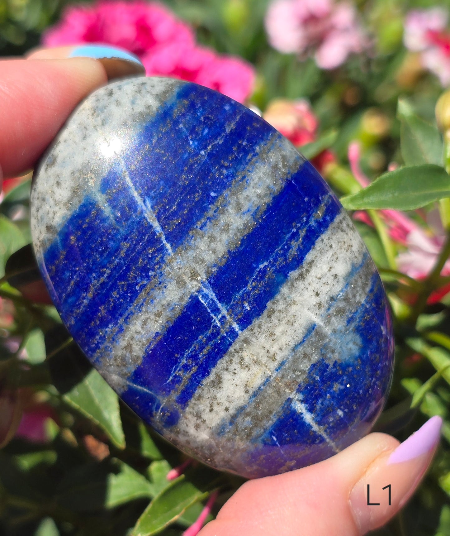Various Palm Stones ✨️