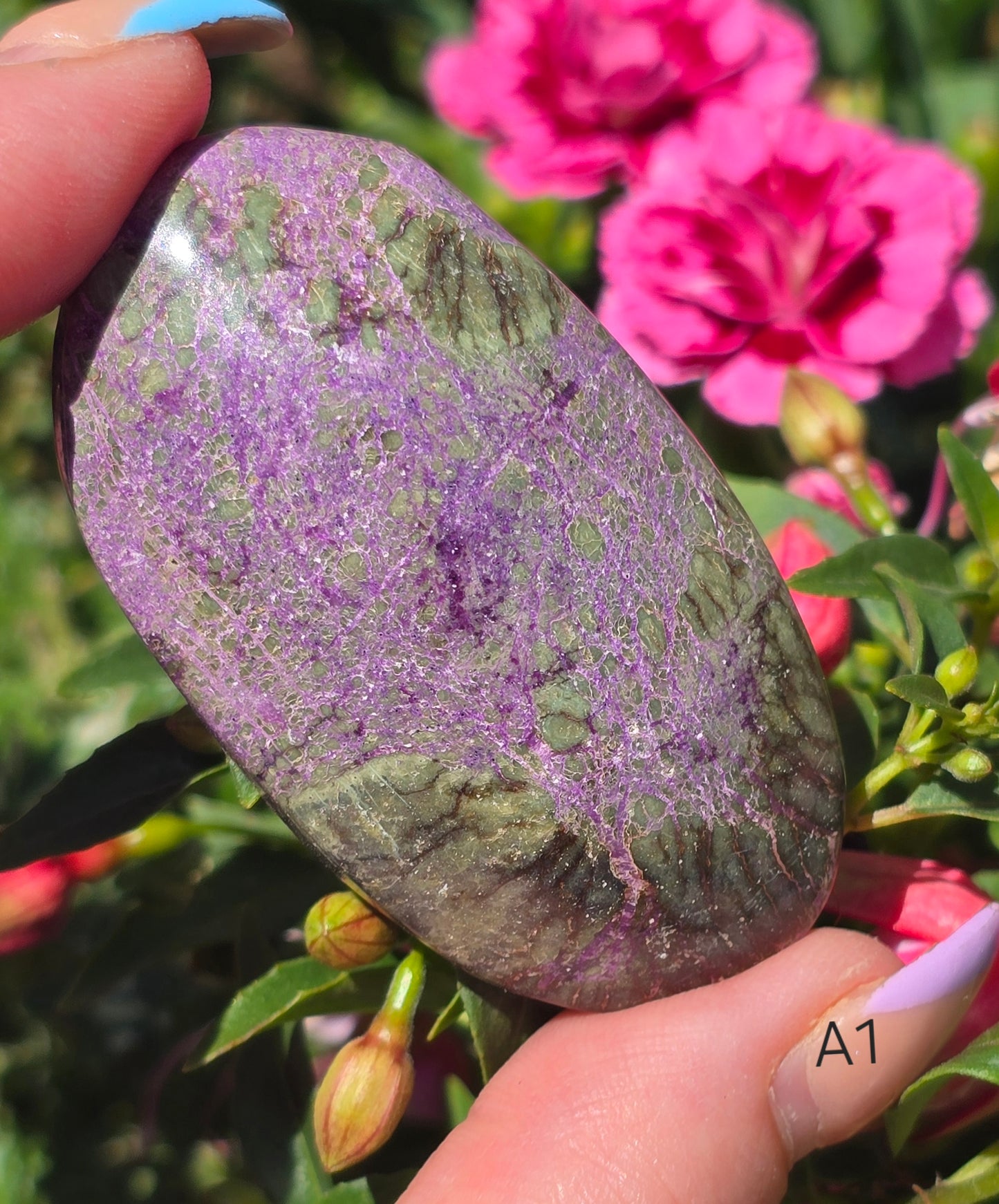 Various Palm Stones ✨️