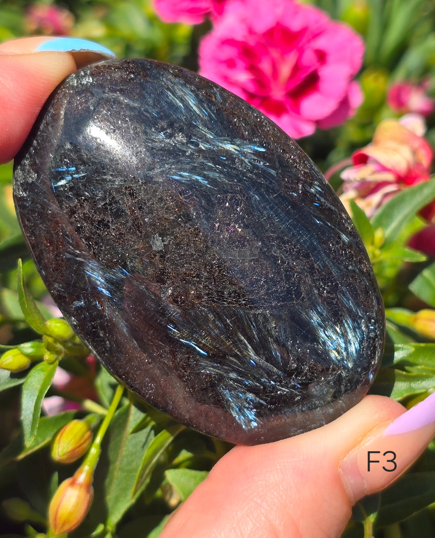 Various Palm Stones ✨️