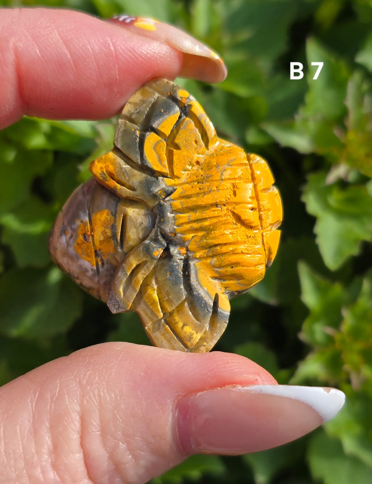 Bumblee bee Jasper bee