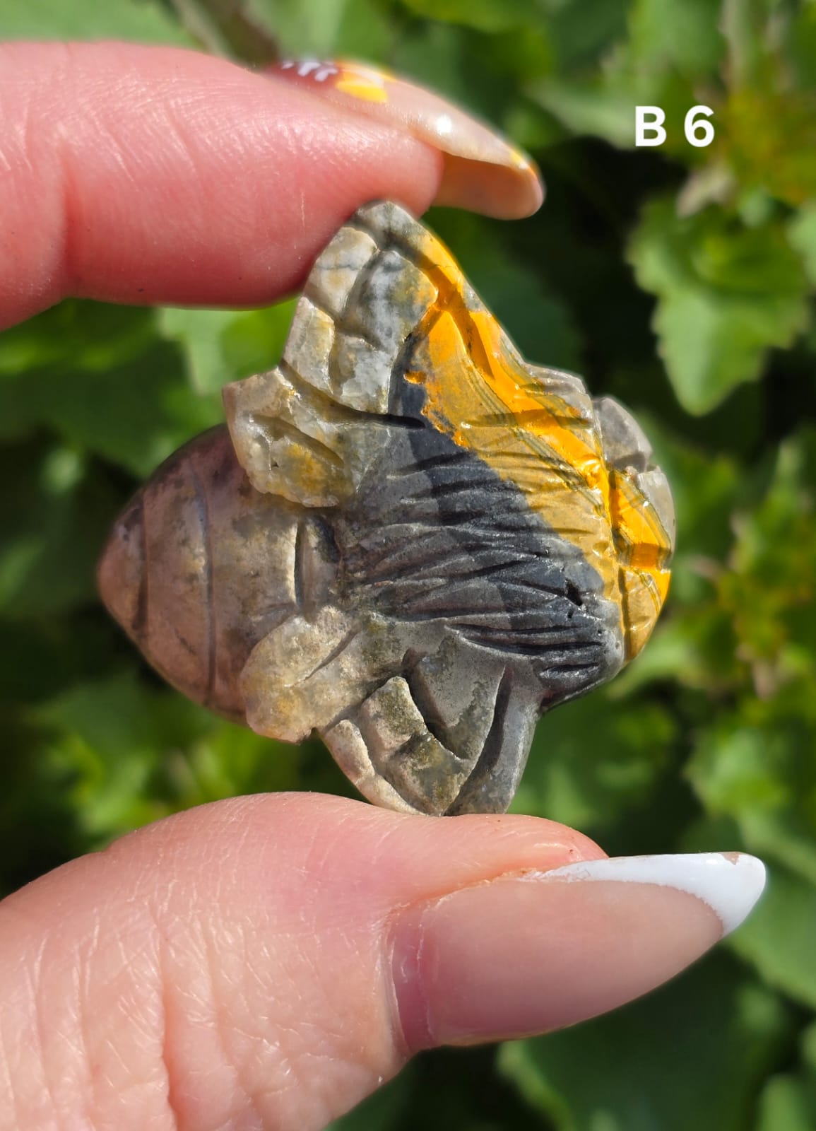Bumblee bee Jasper bee