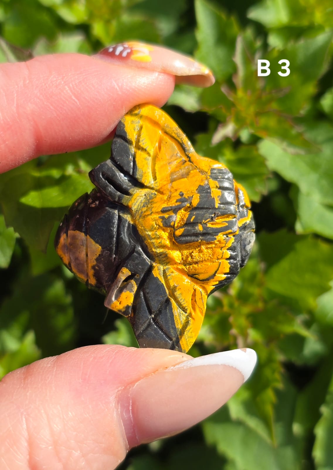 Bumblee bee Jasper bee