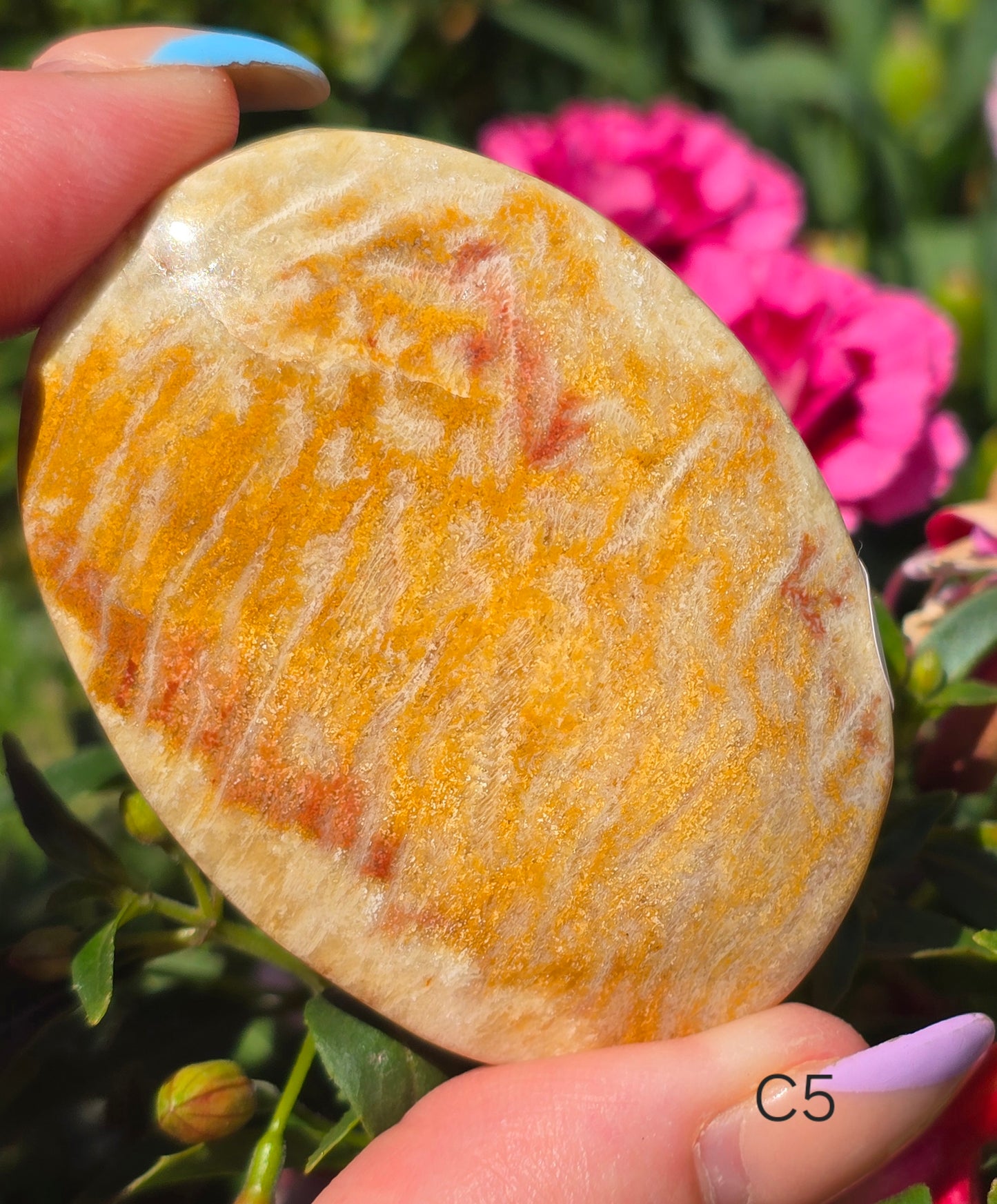 Various Palm Stones ✨️