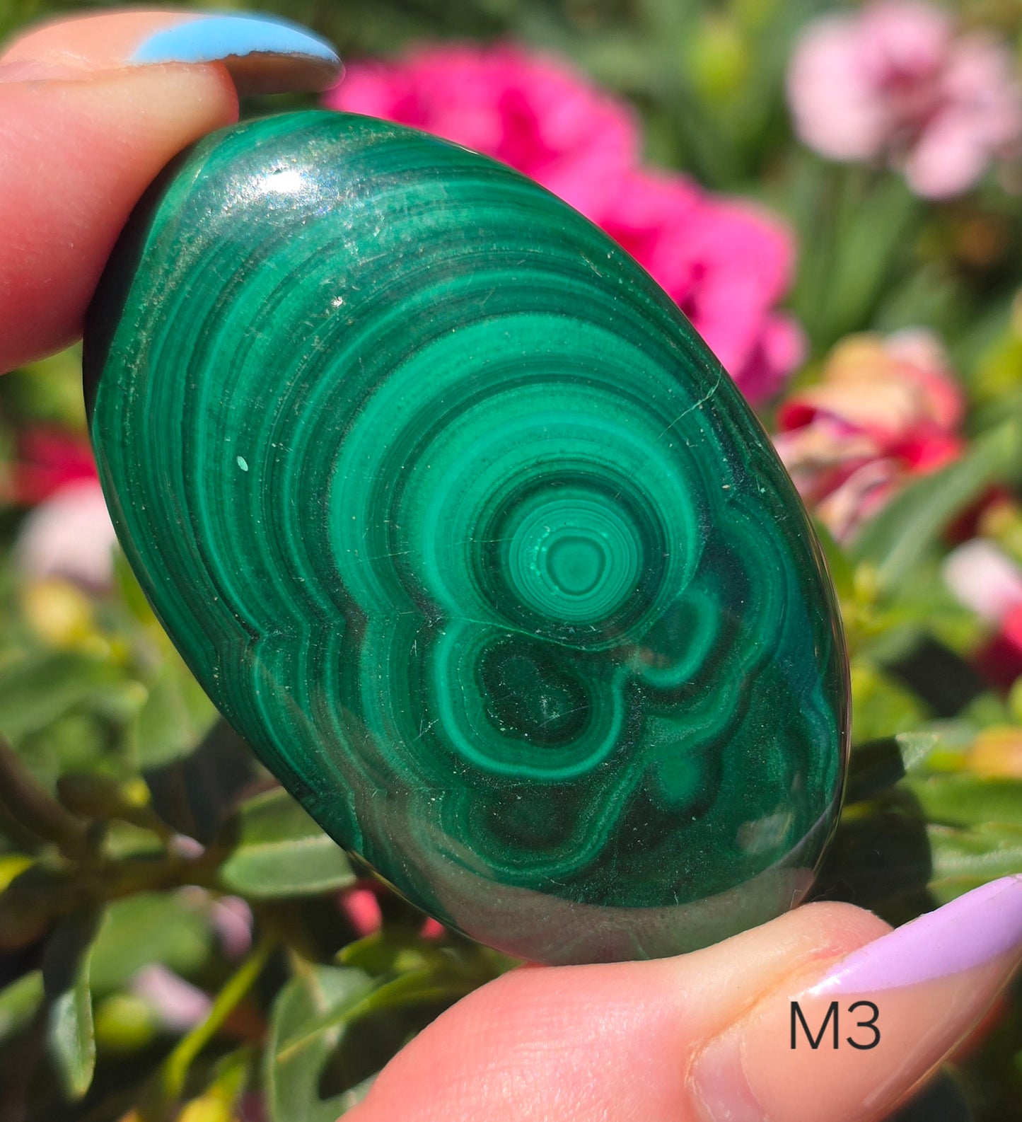 Various Palm Stones ✨️