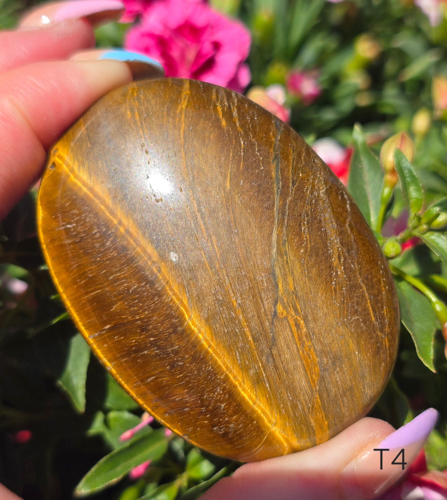 Various Palm Stones ✨️