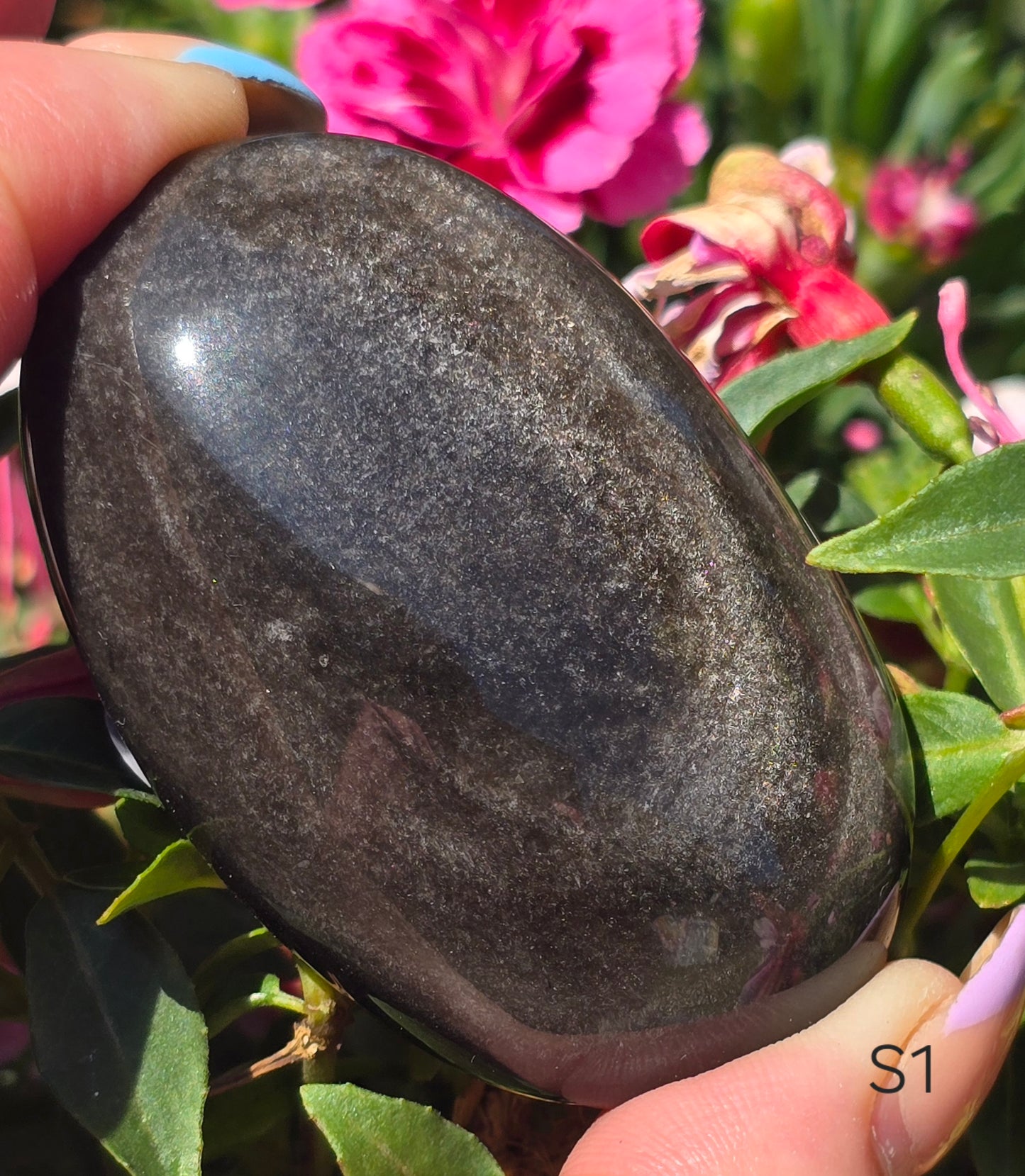 Various Palm Stones ✨️