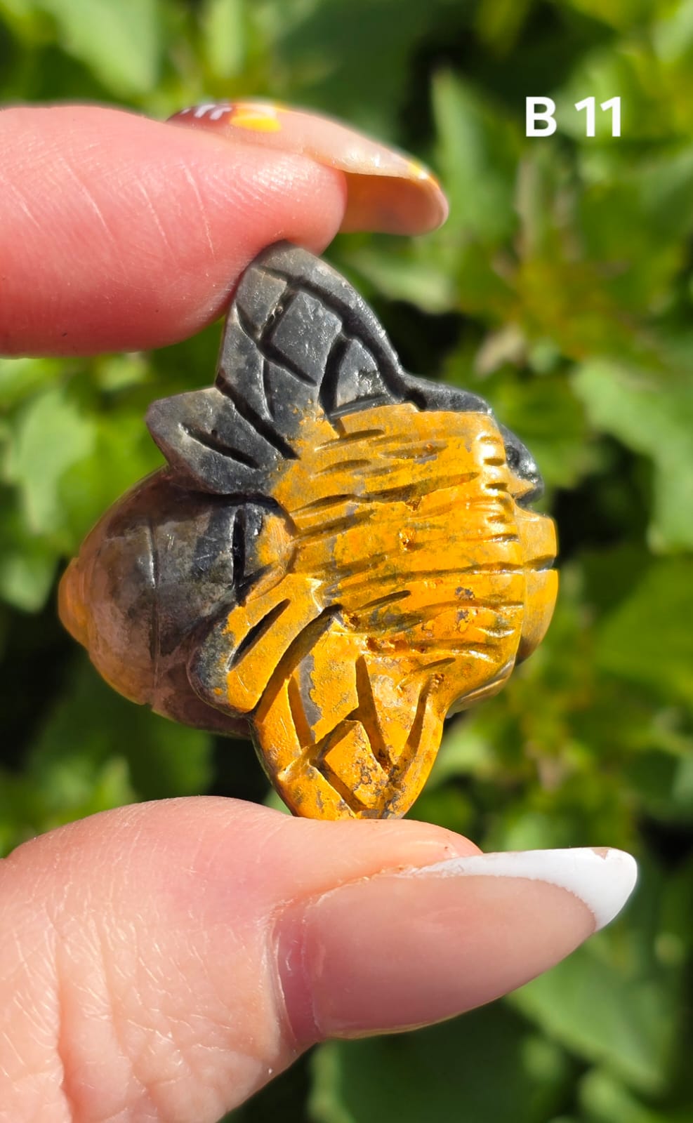 Bumblee bee Jasper bee