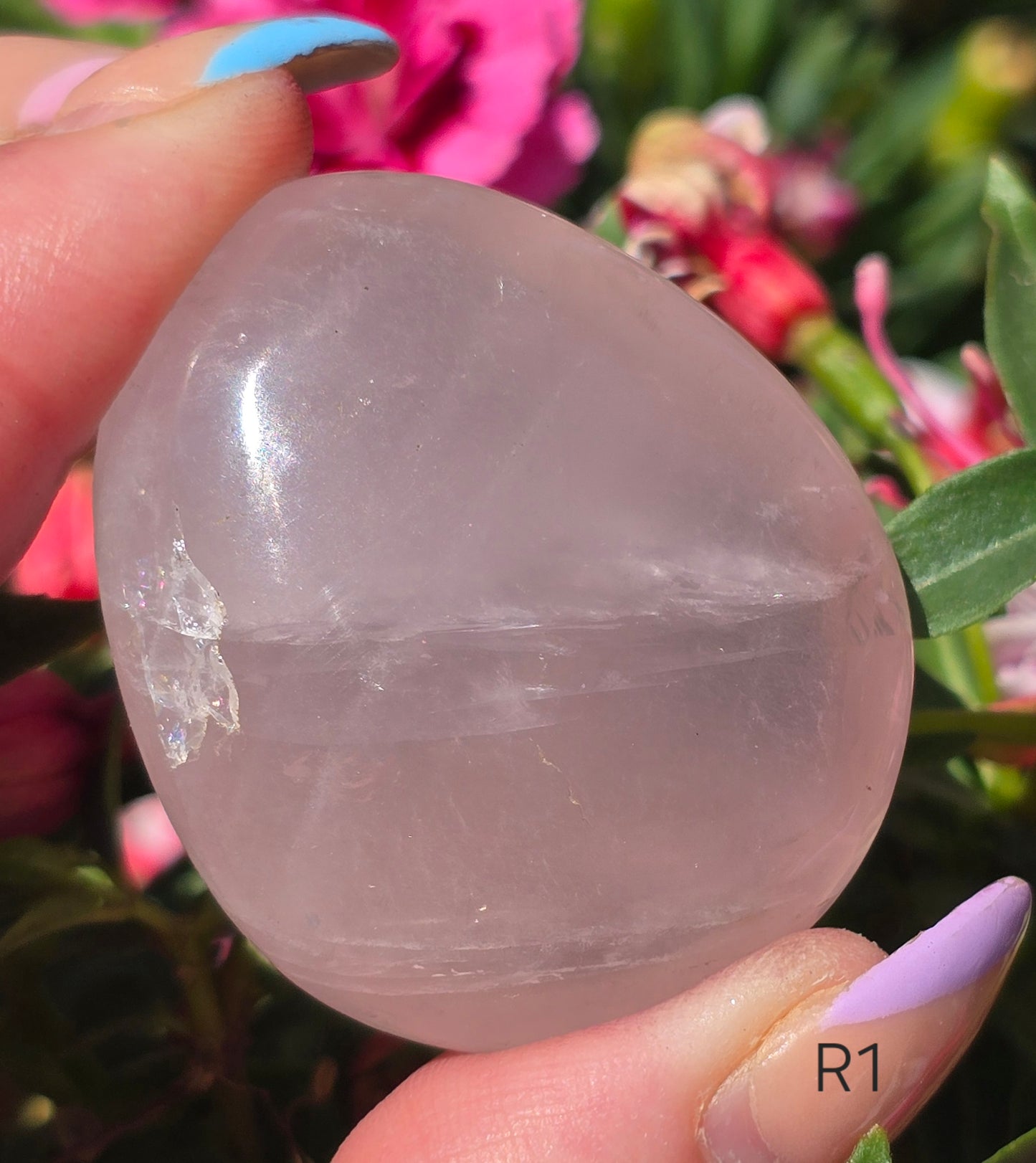 Various Palm Stones ✨️