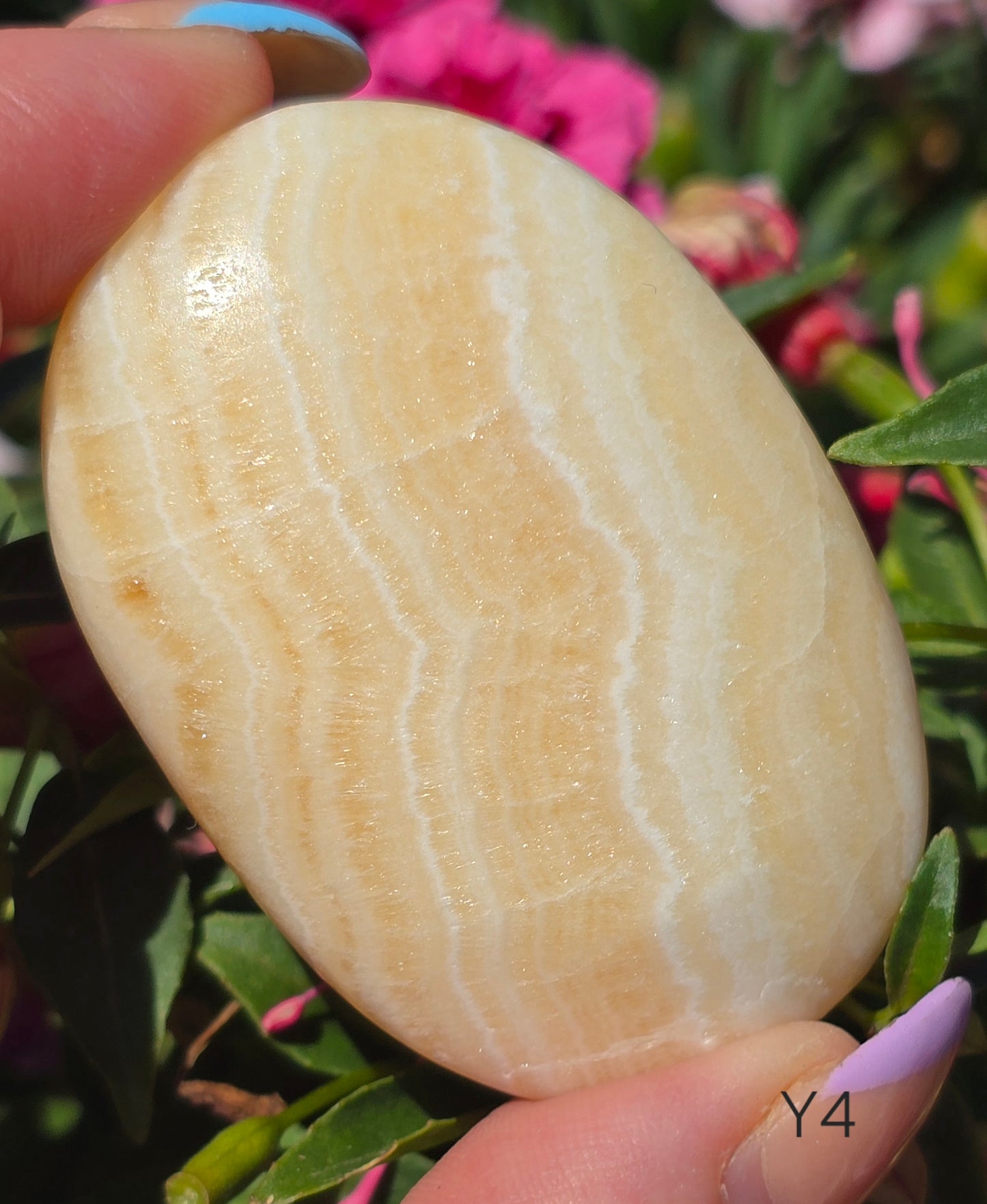 Various Palm Stones ✨️