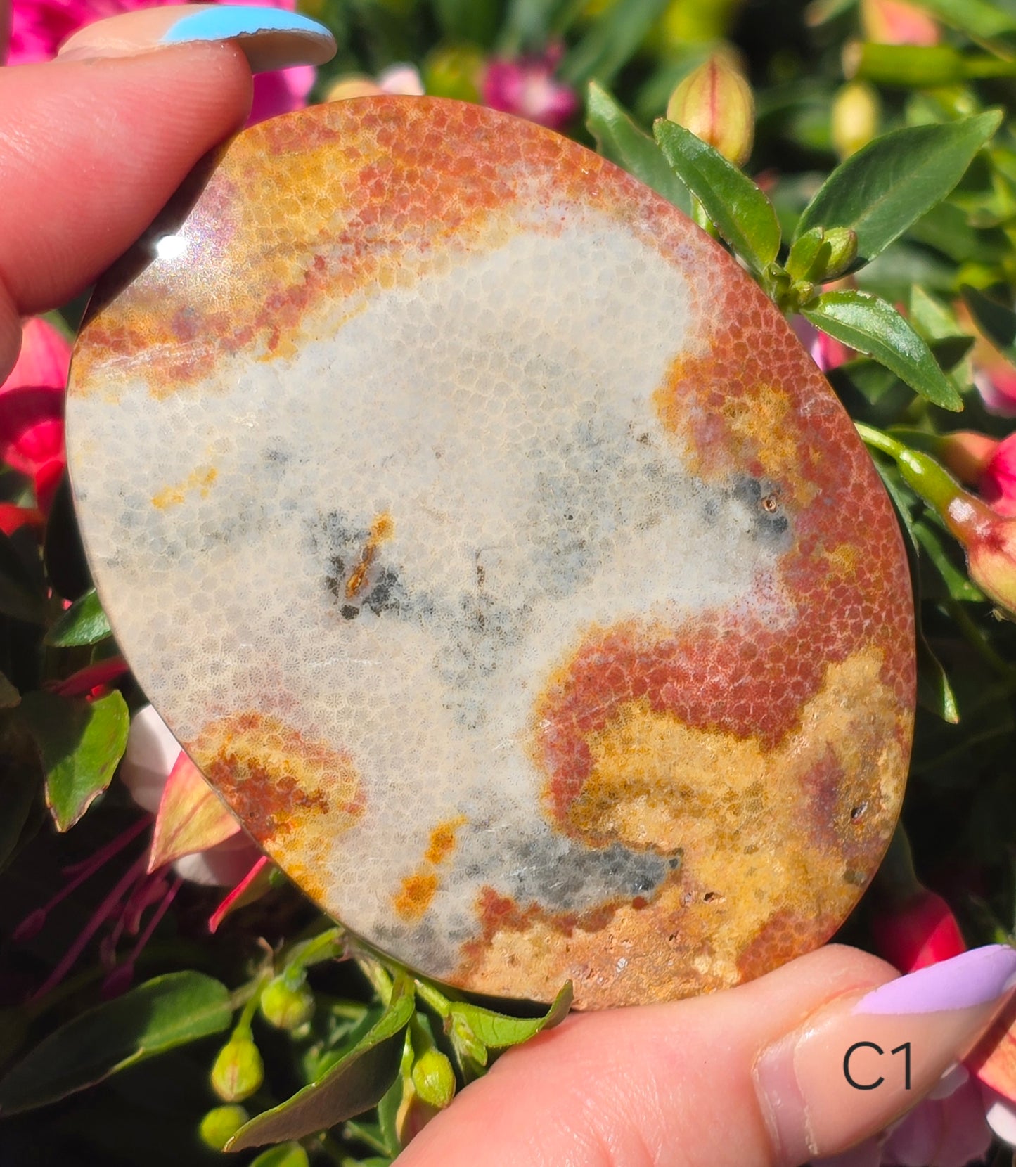 Various Palm Stones ✨️