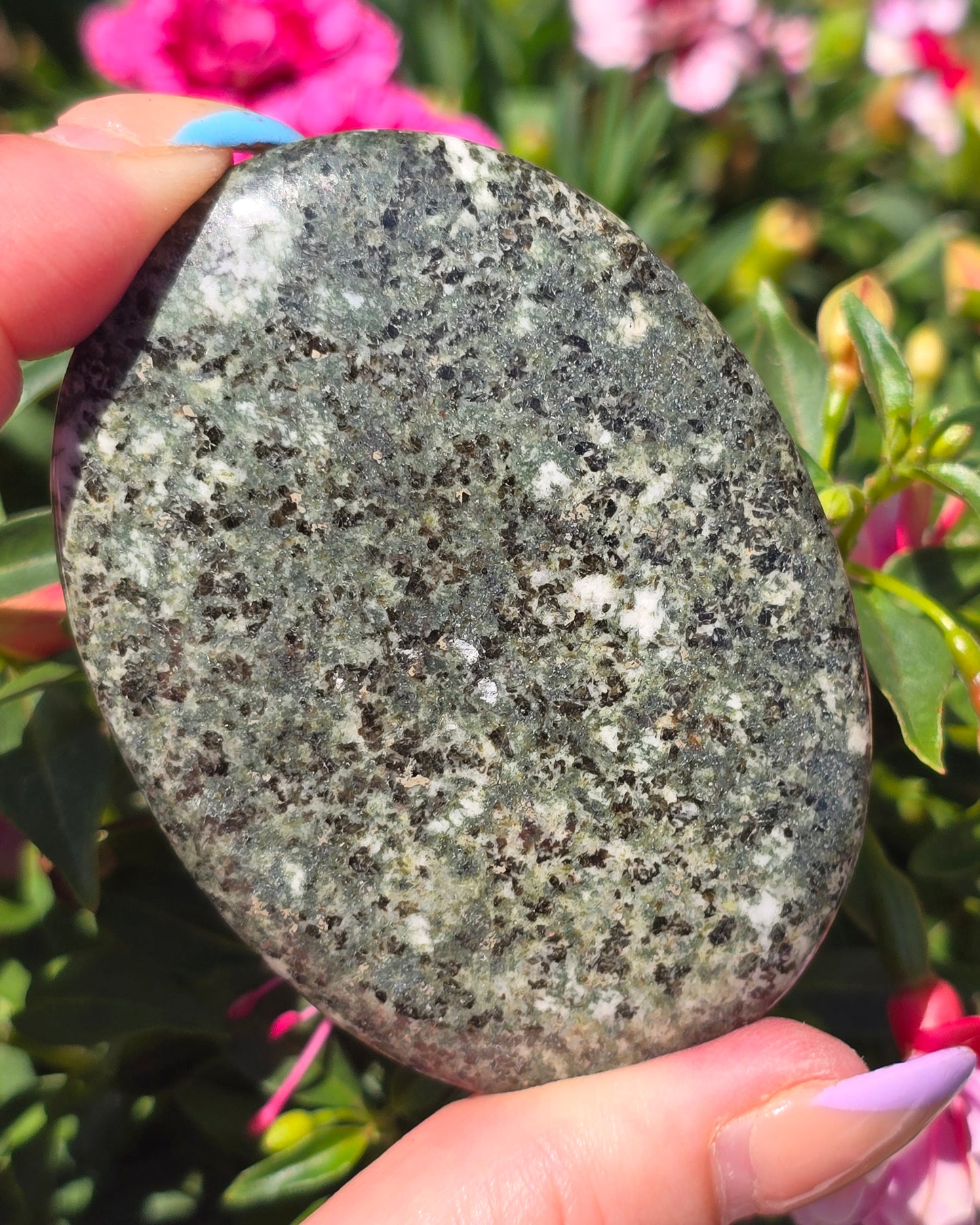 Various Palm Stones ✨️