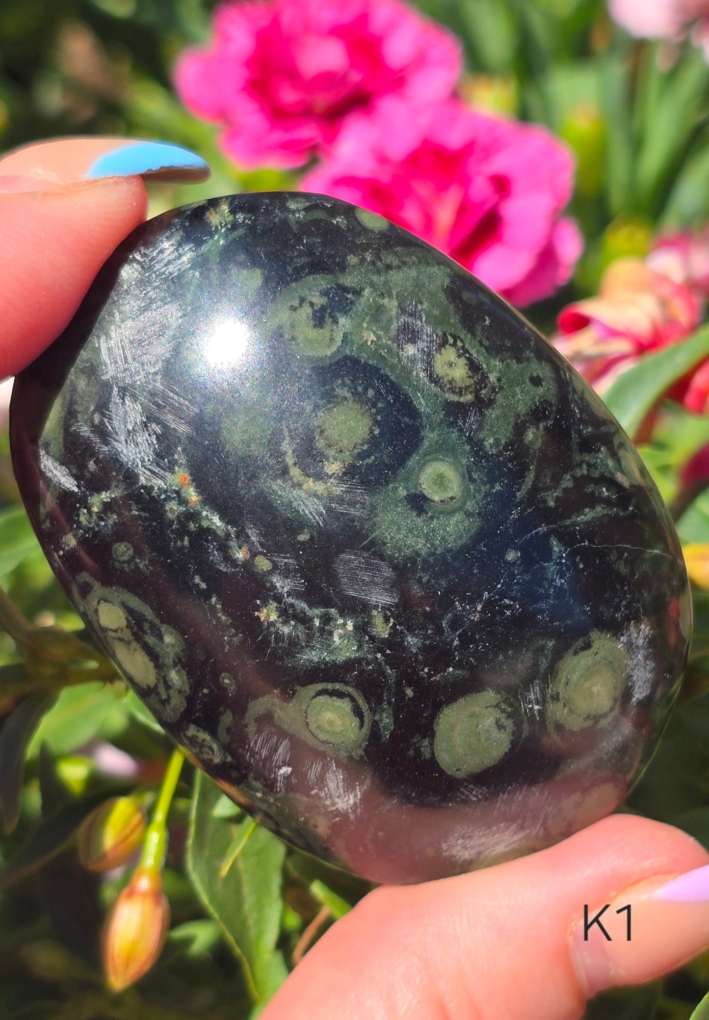 Various Palm Stones ✨️