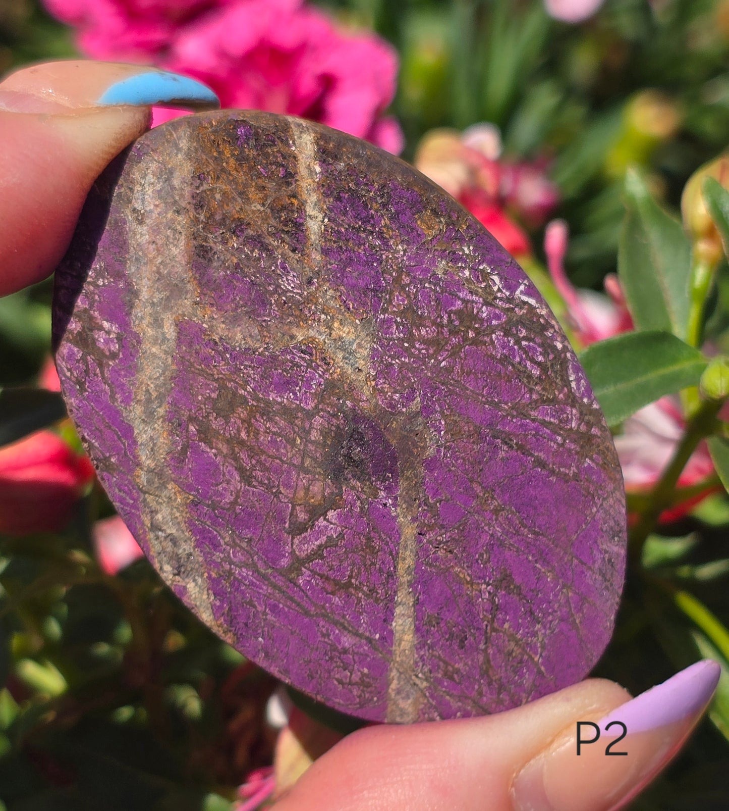 Various Palm Stones ✨️