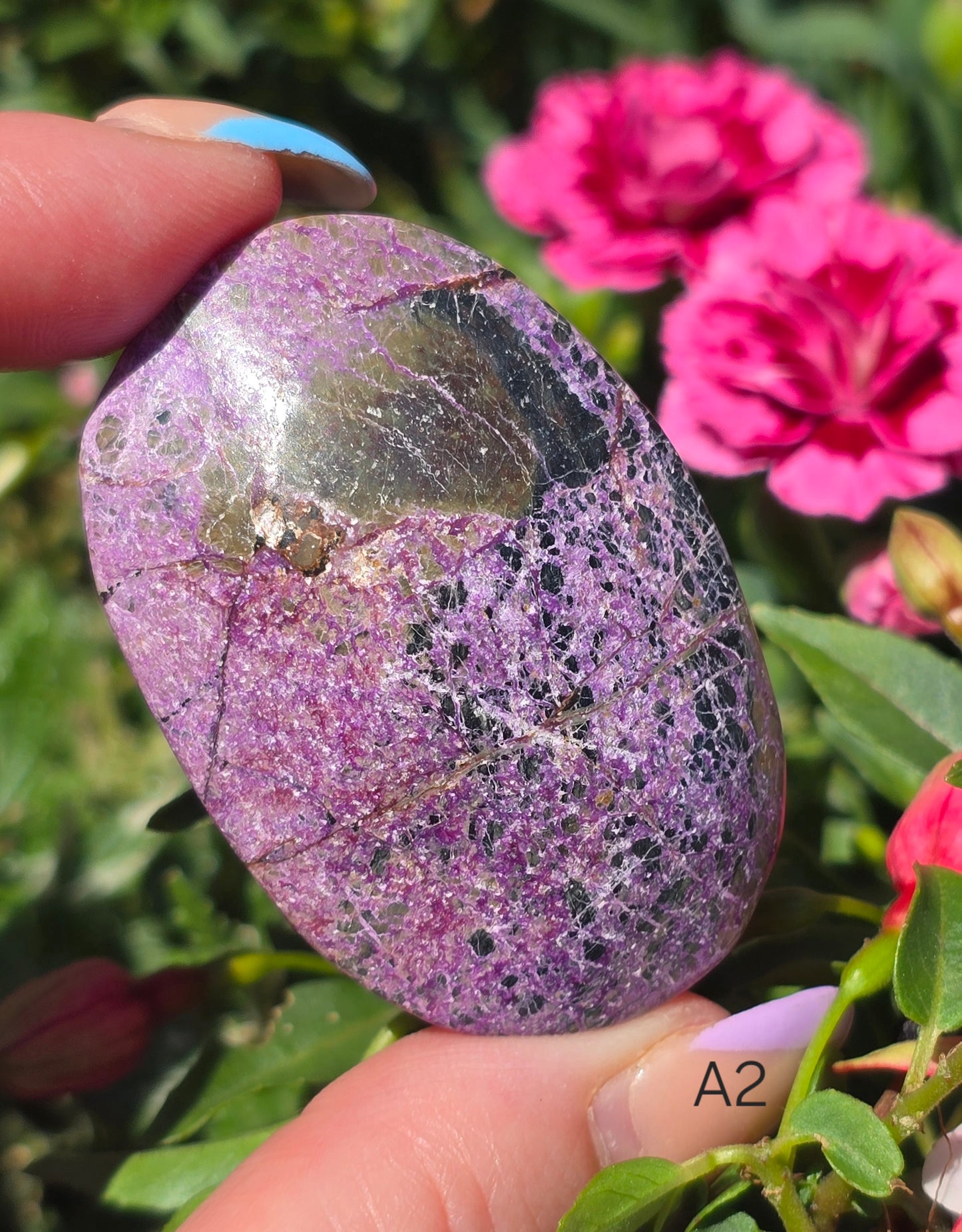 Various Palm Stones ✨️