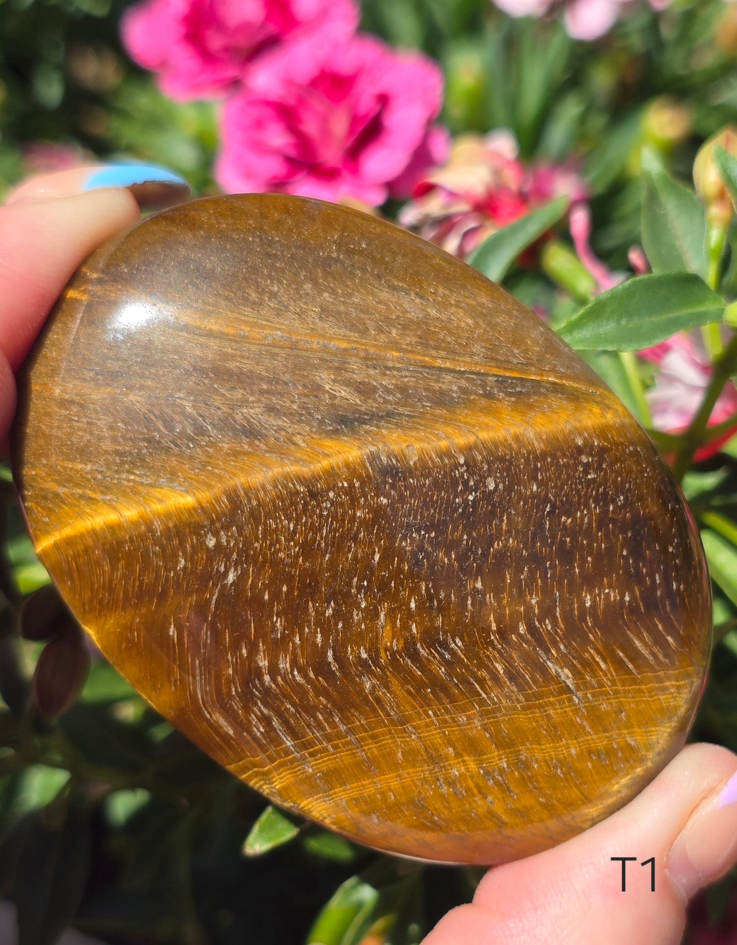 Various Palm Stones ✨️