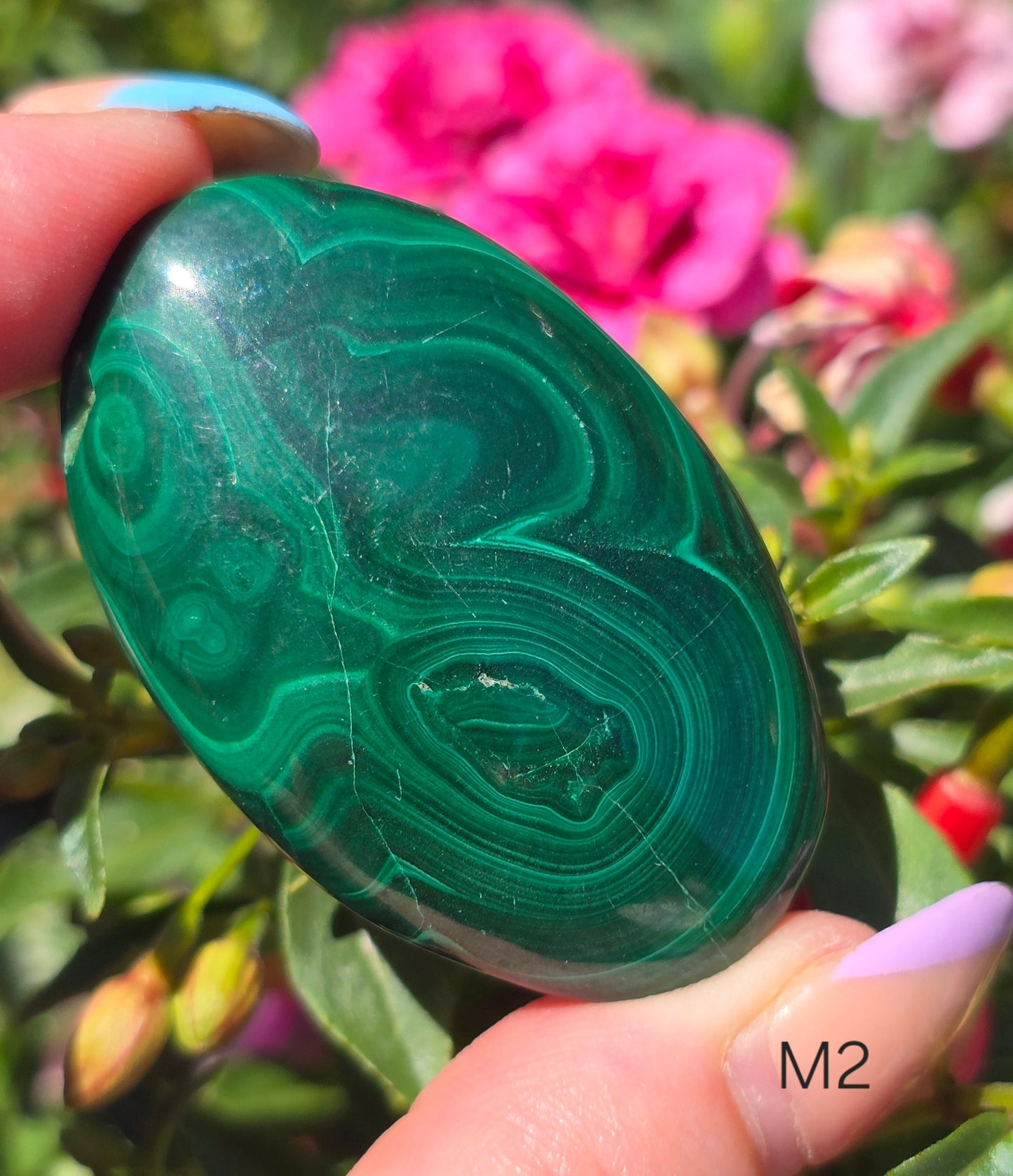 Various Palm Stones ✨️