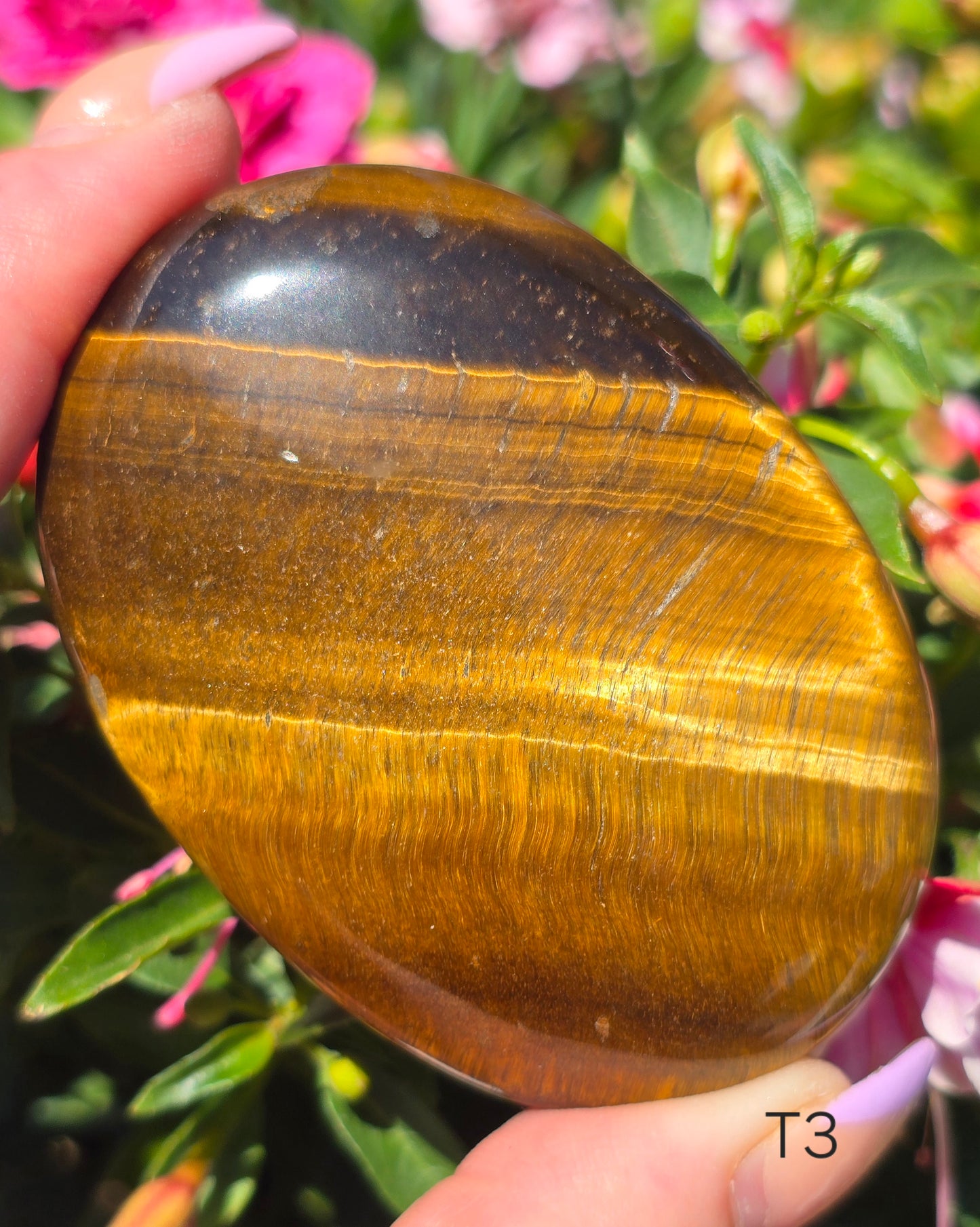 Various Palm Stones ✨️