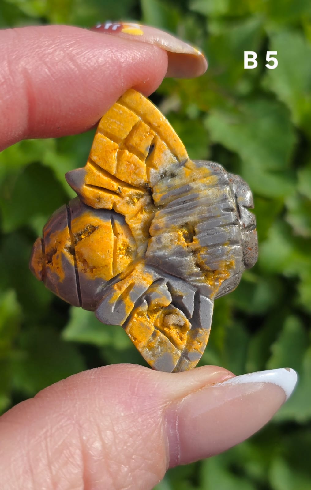 Bumblee bee Jasper bee