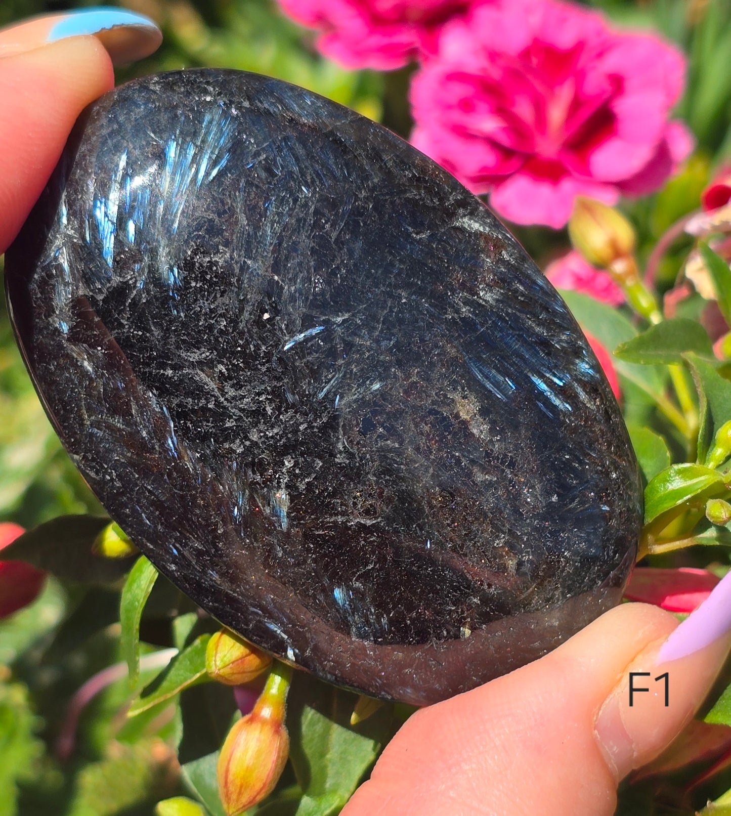 Various Palm Stones ✨️
