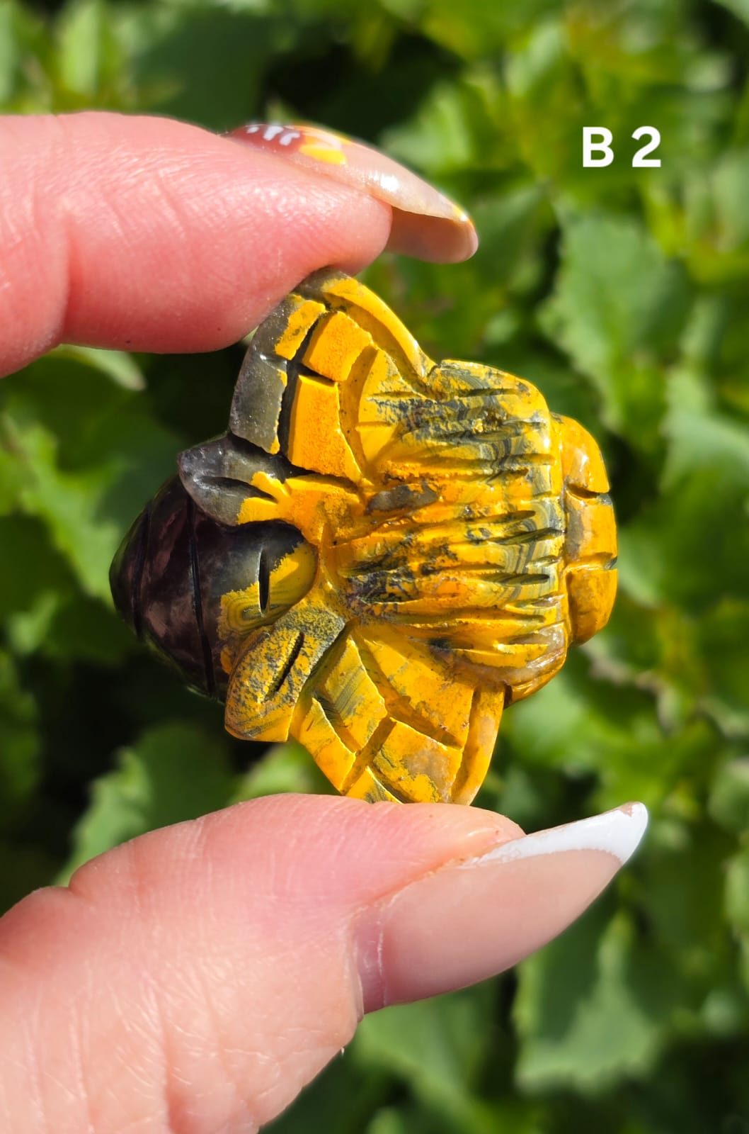 Bumblee bee Jasper bee