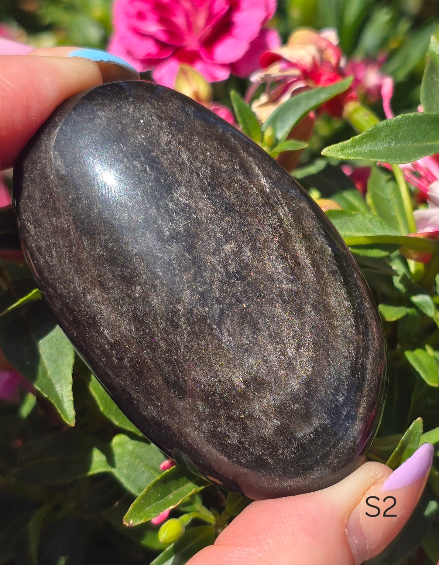 Various Palm Stones ✨️
