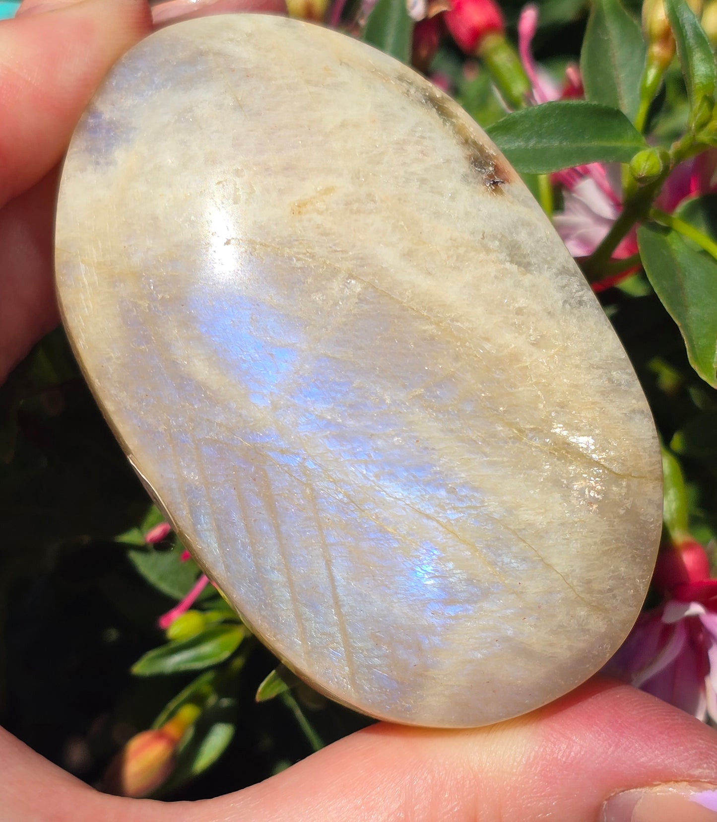 Various Palm Stones ✨️