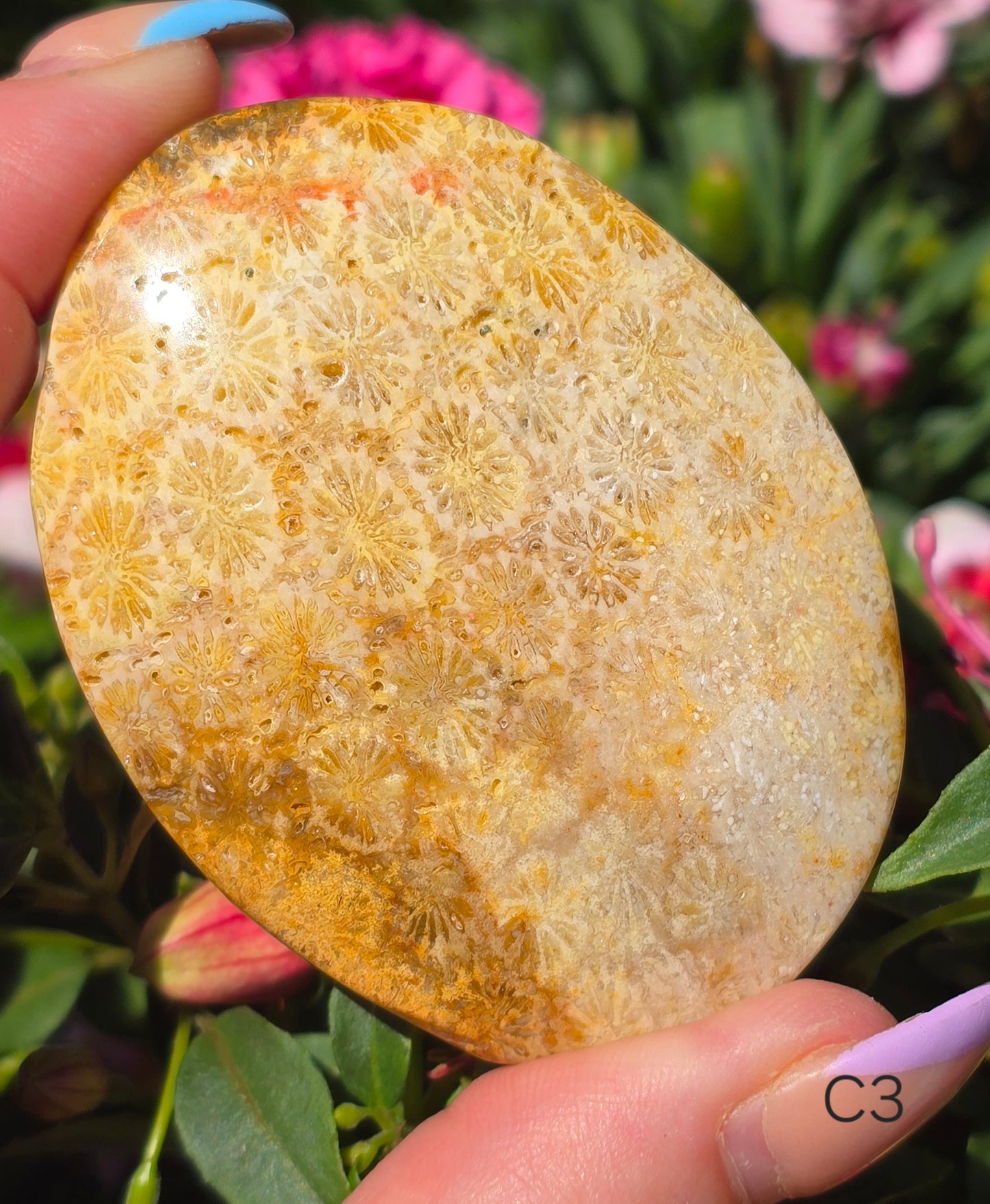Various Palm Stones ✨️