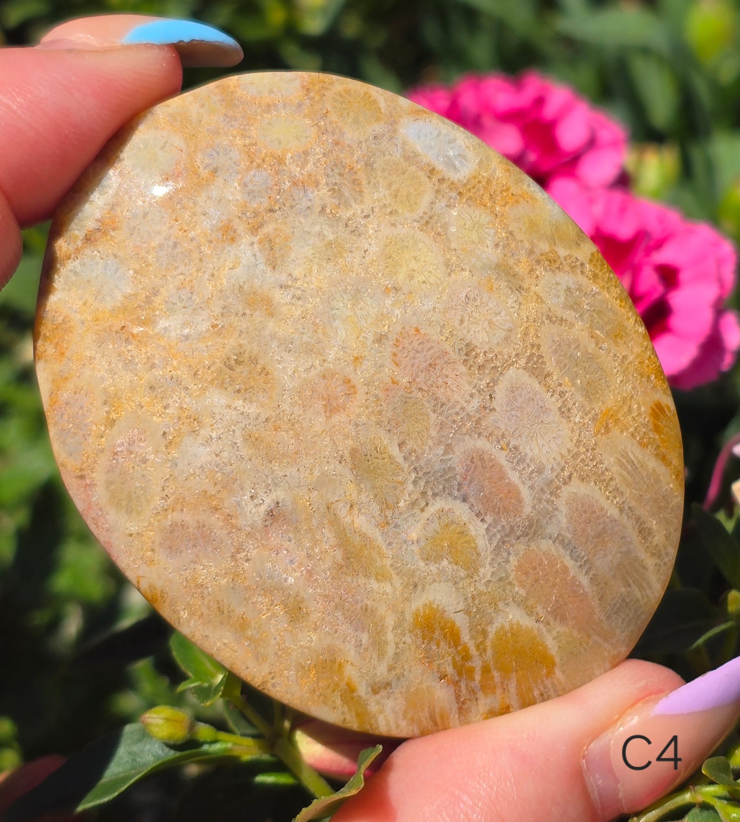 Various Palm Stones ✨️
