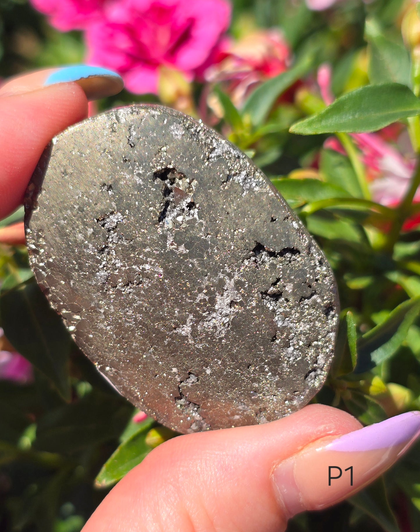 Various Palm Stones ✨️