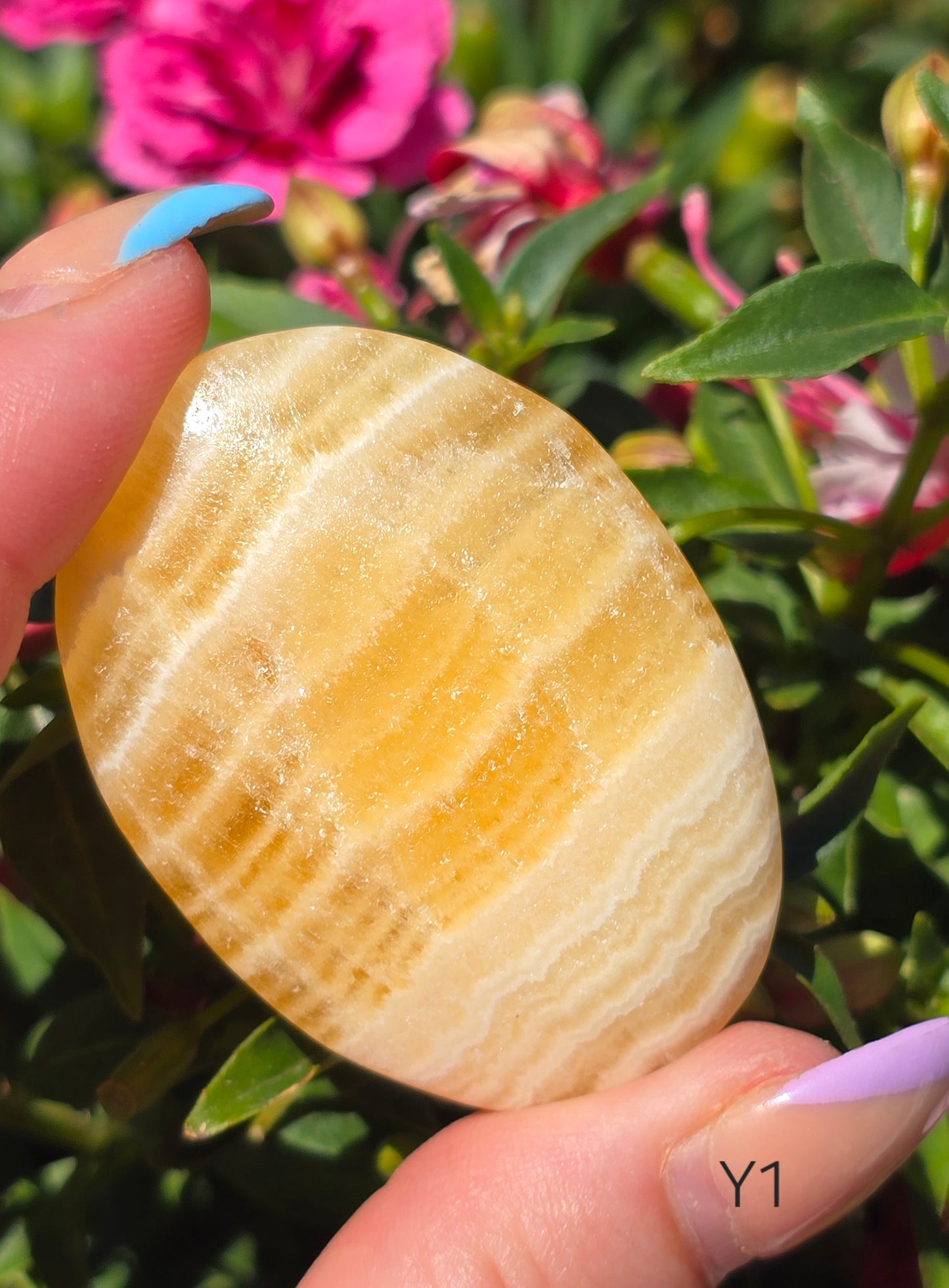 Various Palm Stones ✨️