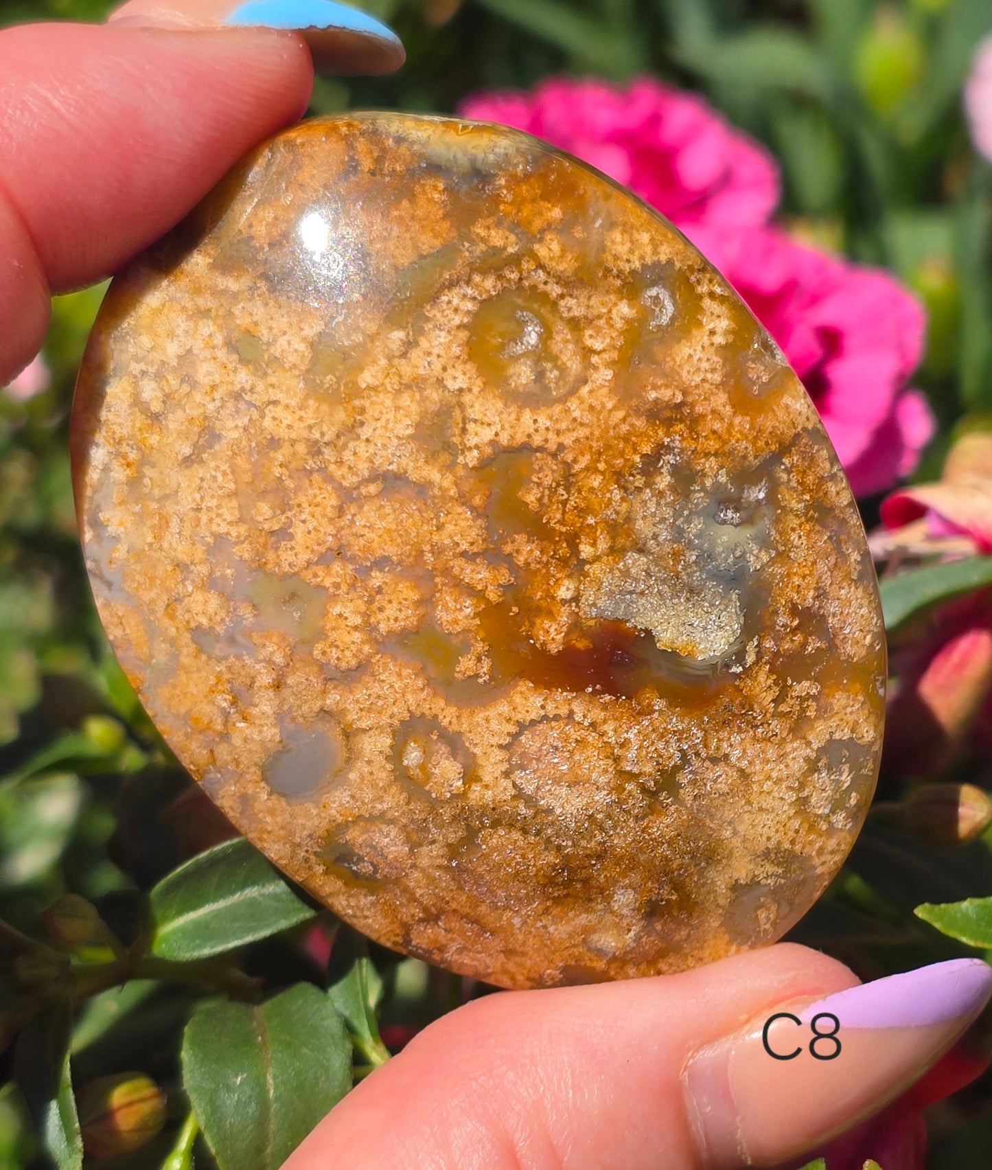 Various Palm Stones ✨️