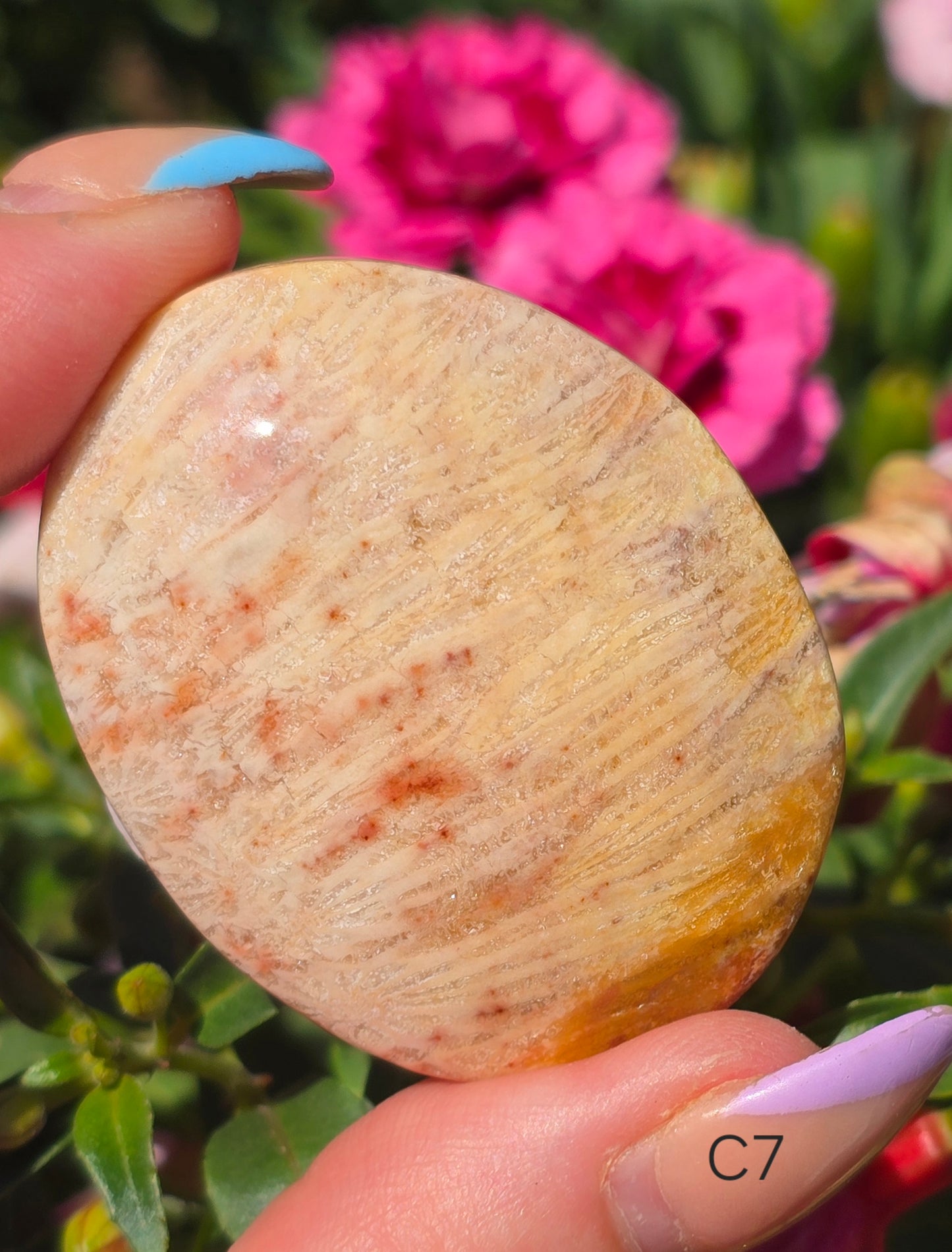 Various Palm Stones ✨️
