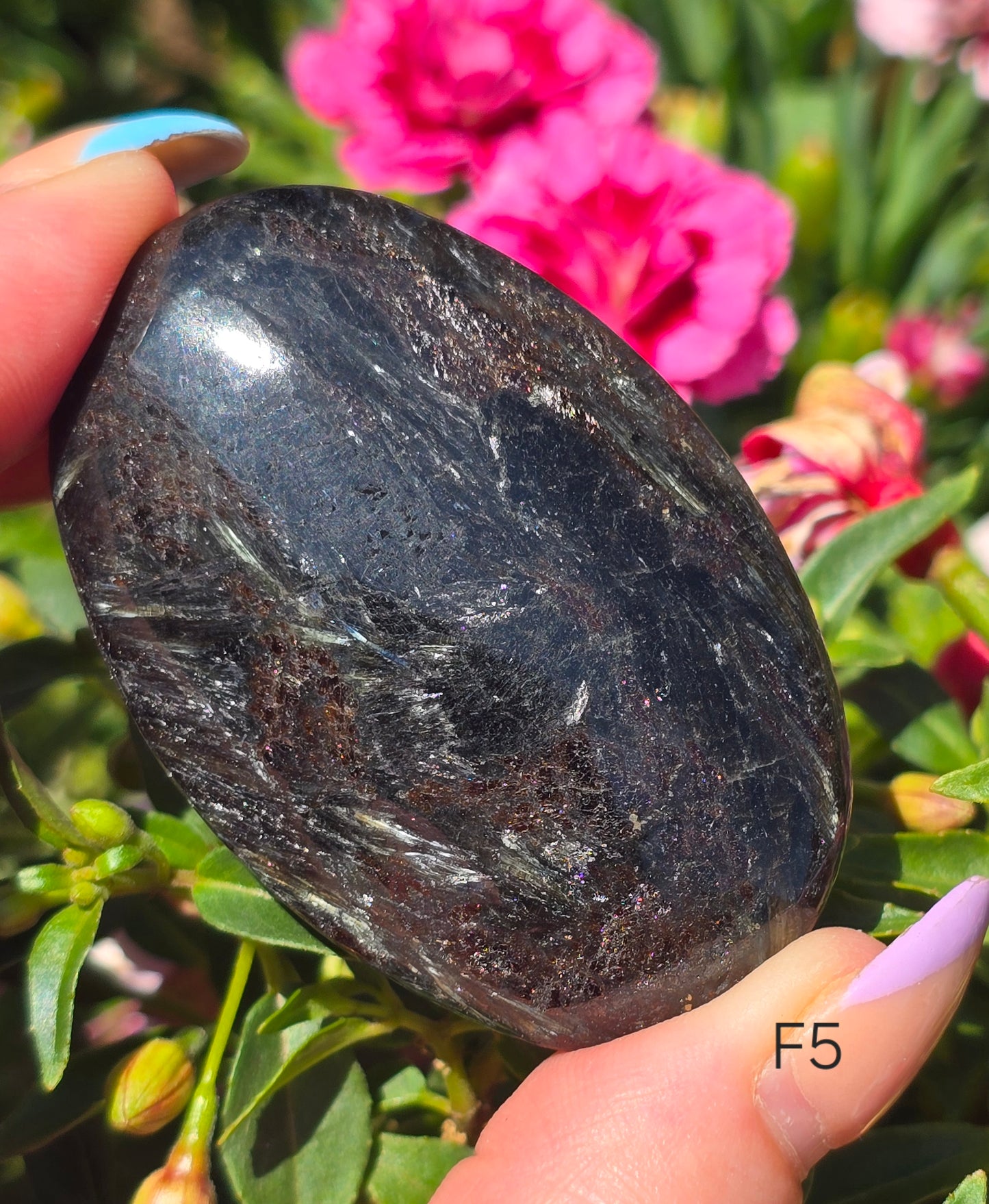 Various Palm Stones ✨️