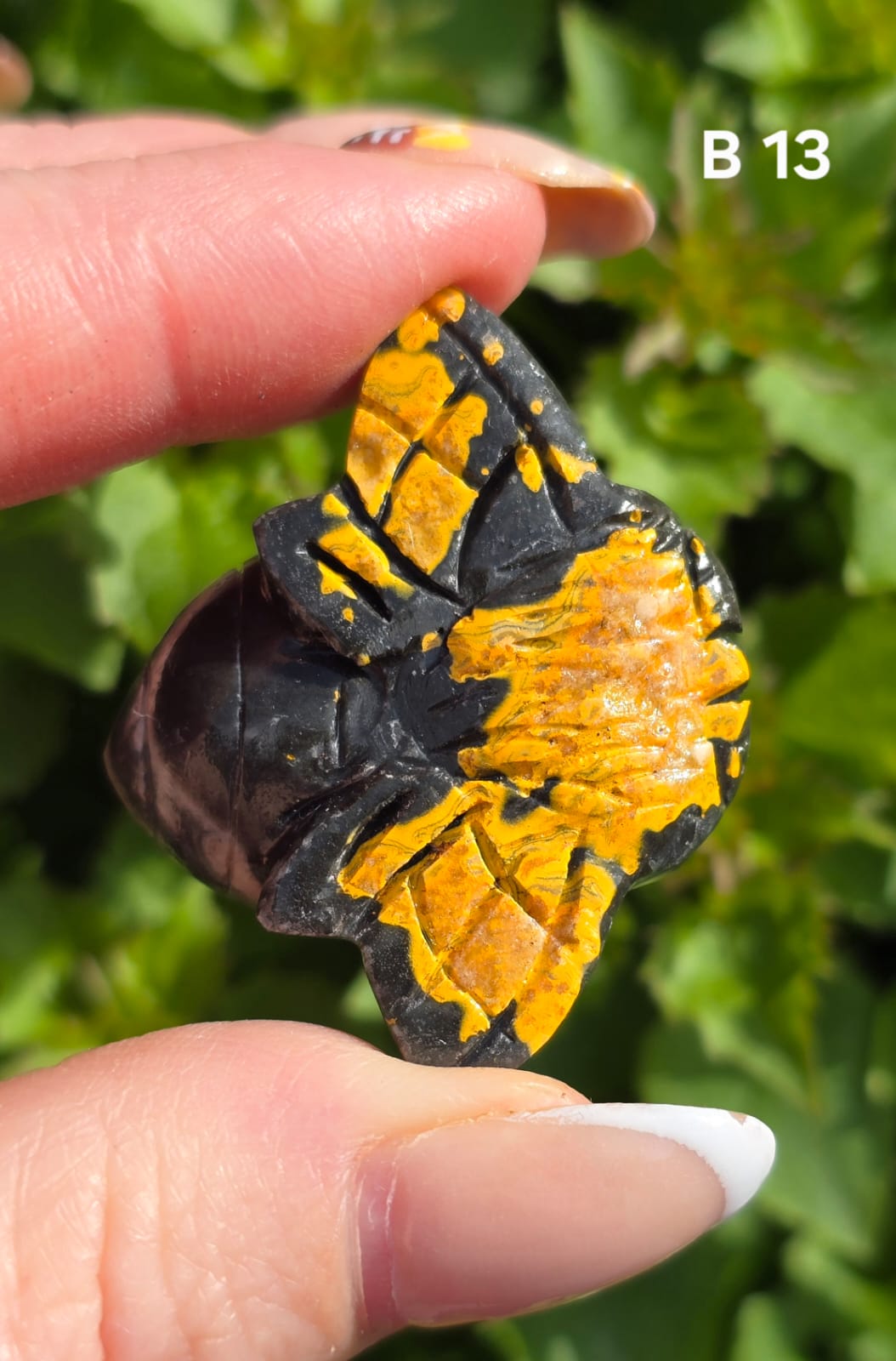 Bumblee bee Jasper bee