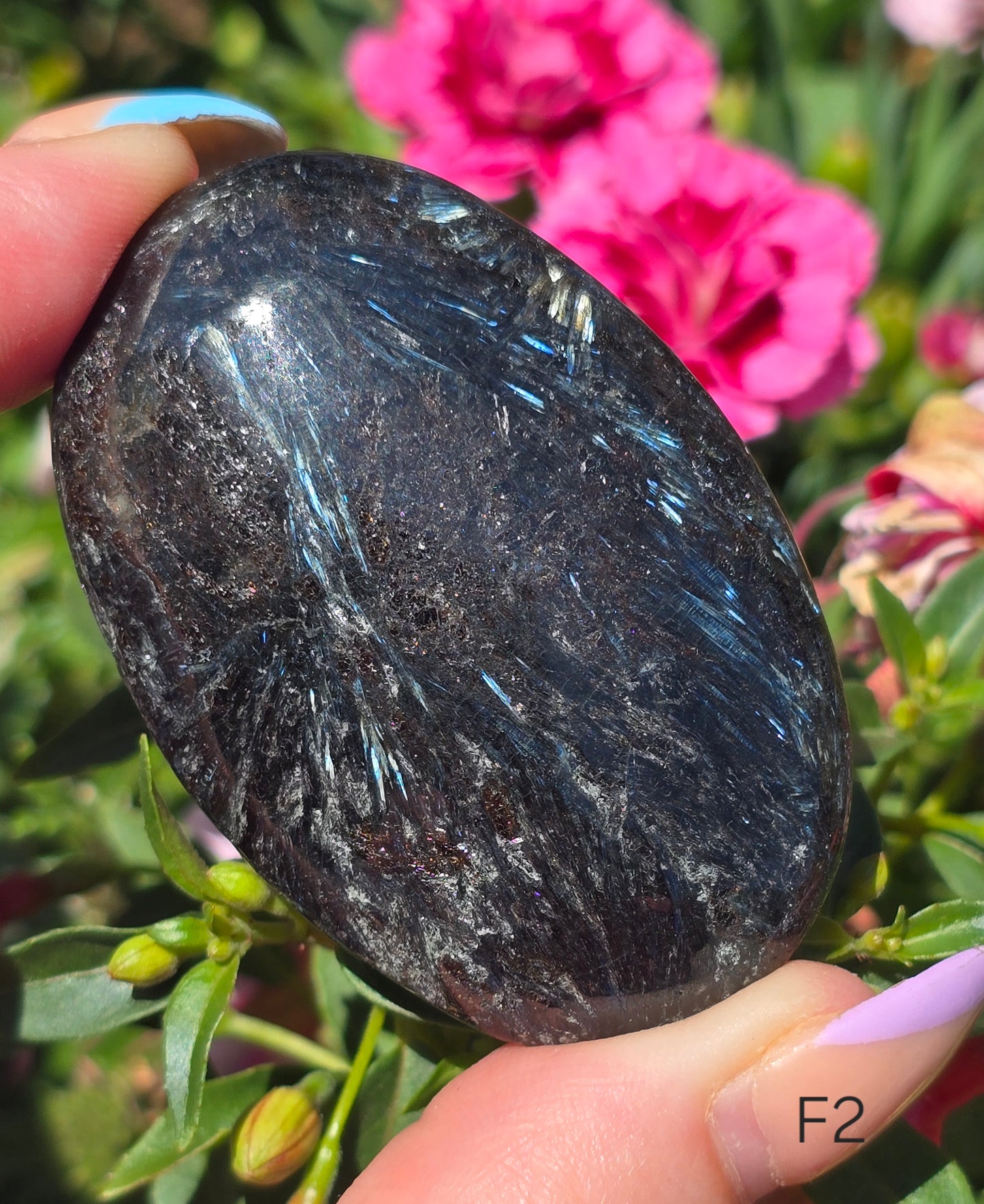 Various Palm Stones ✨️