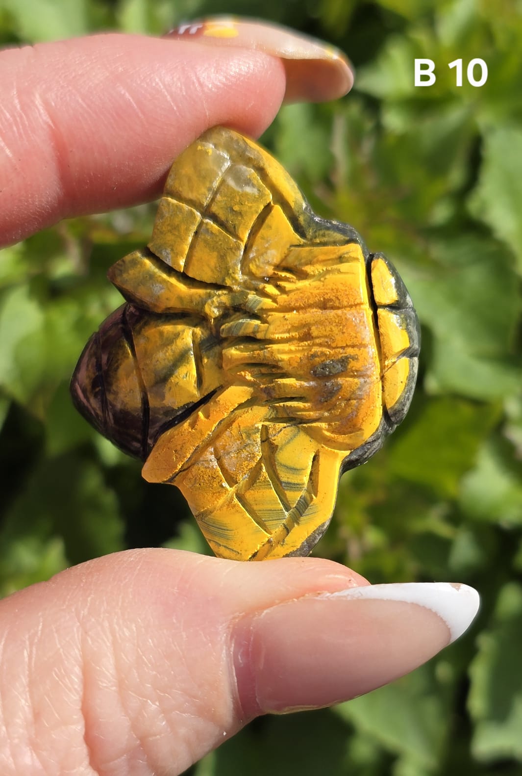 Bumblee bee Jasper bee