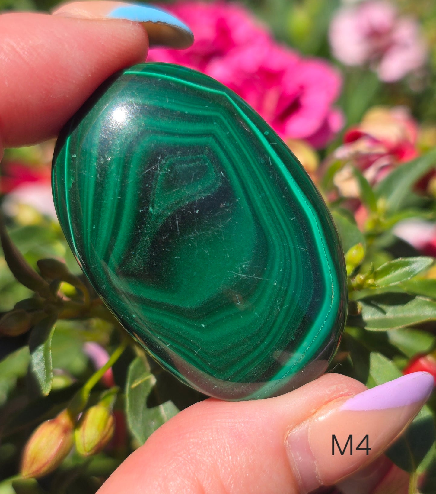 Various Palm Stones ✨️