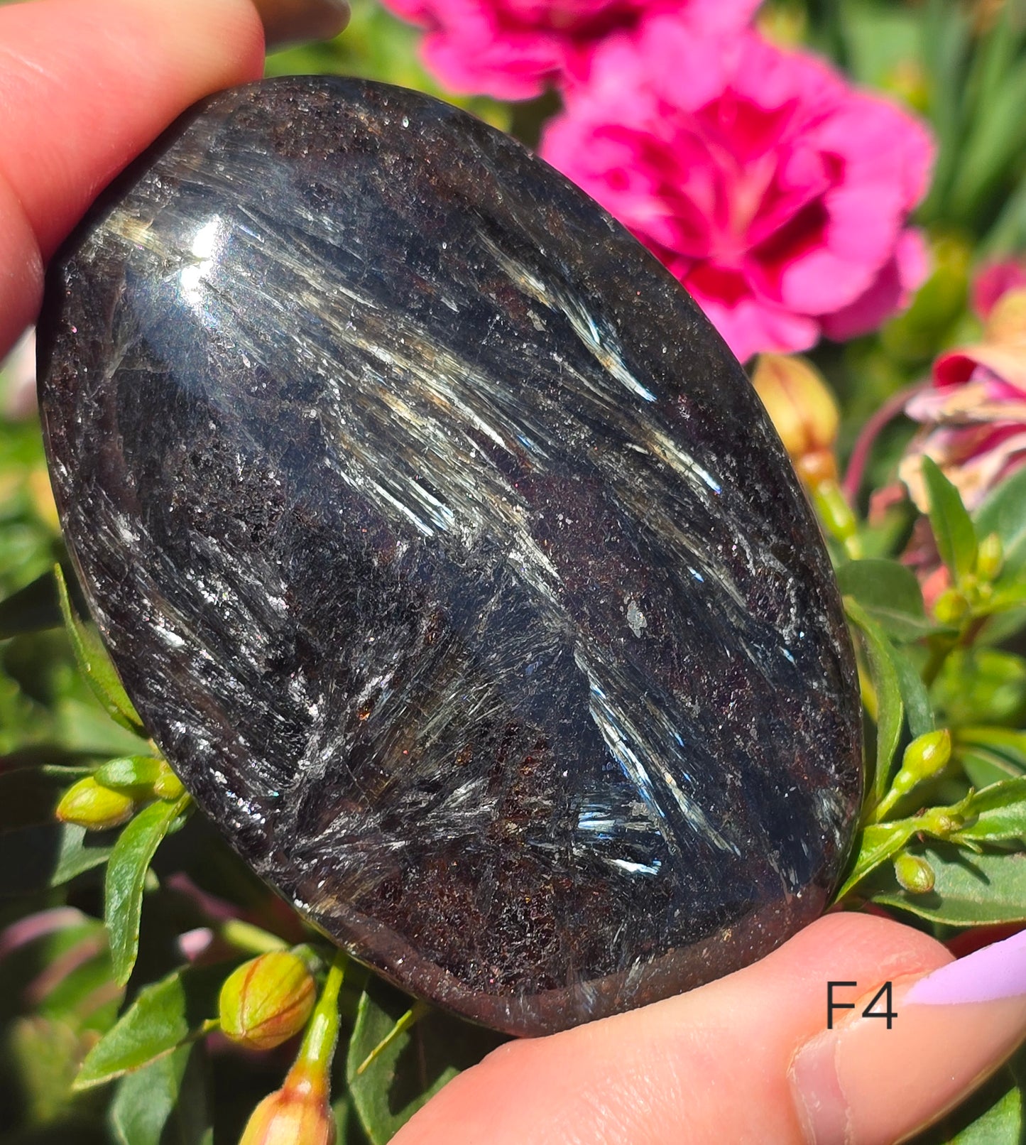 Various Palm Stones ✨️
