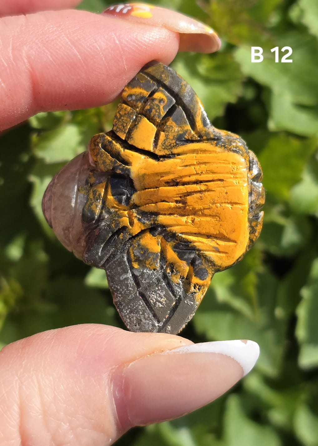 Bumblee bee Jasper bee