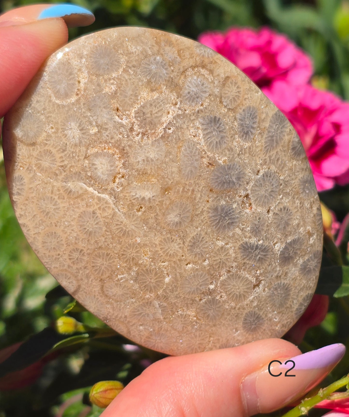 Various Palm Stones ✨️