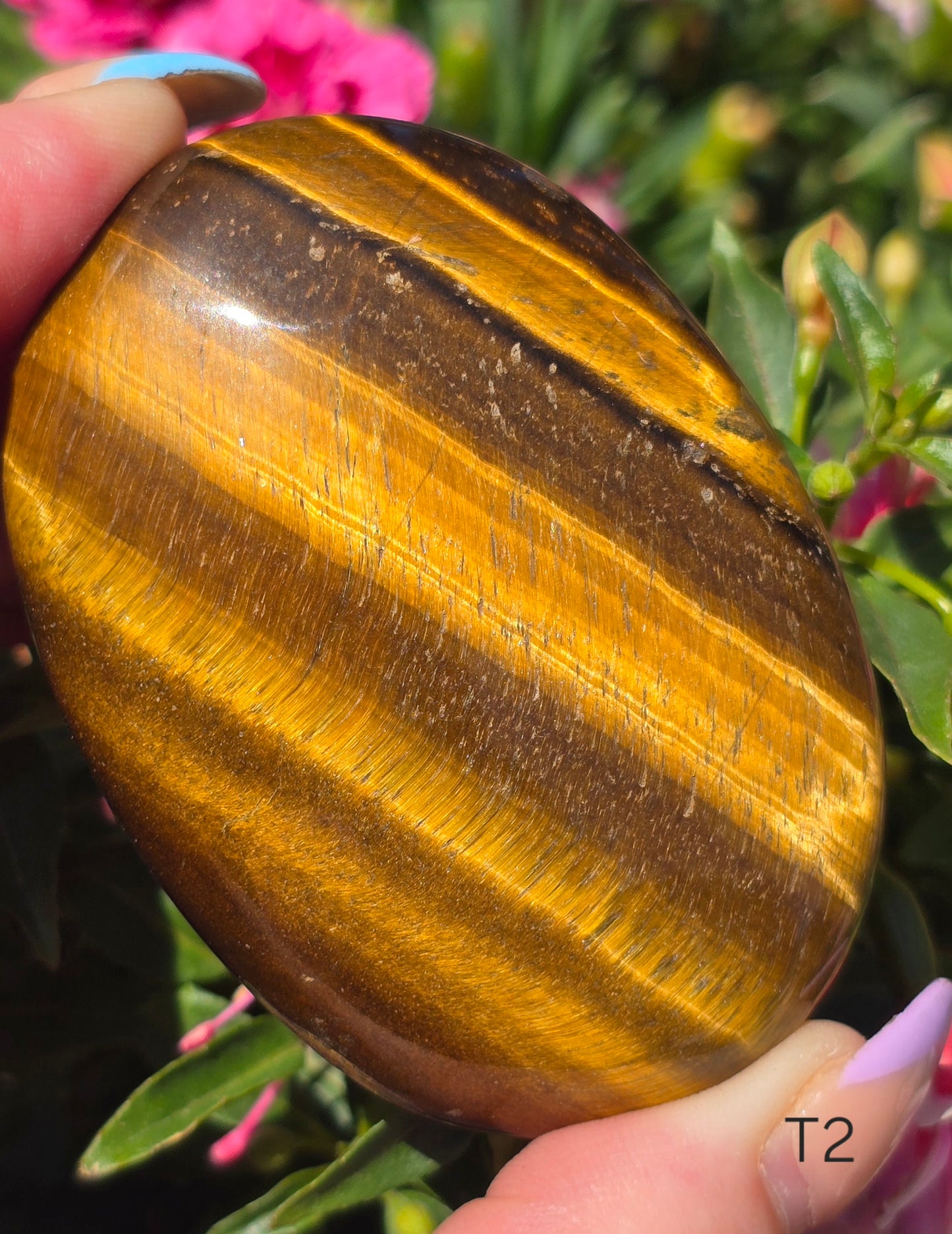 Various Palm Stones ✨️
