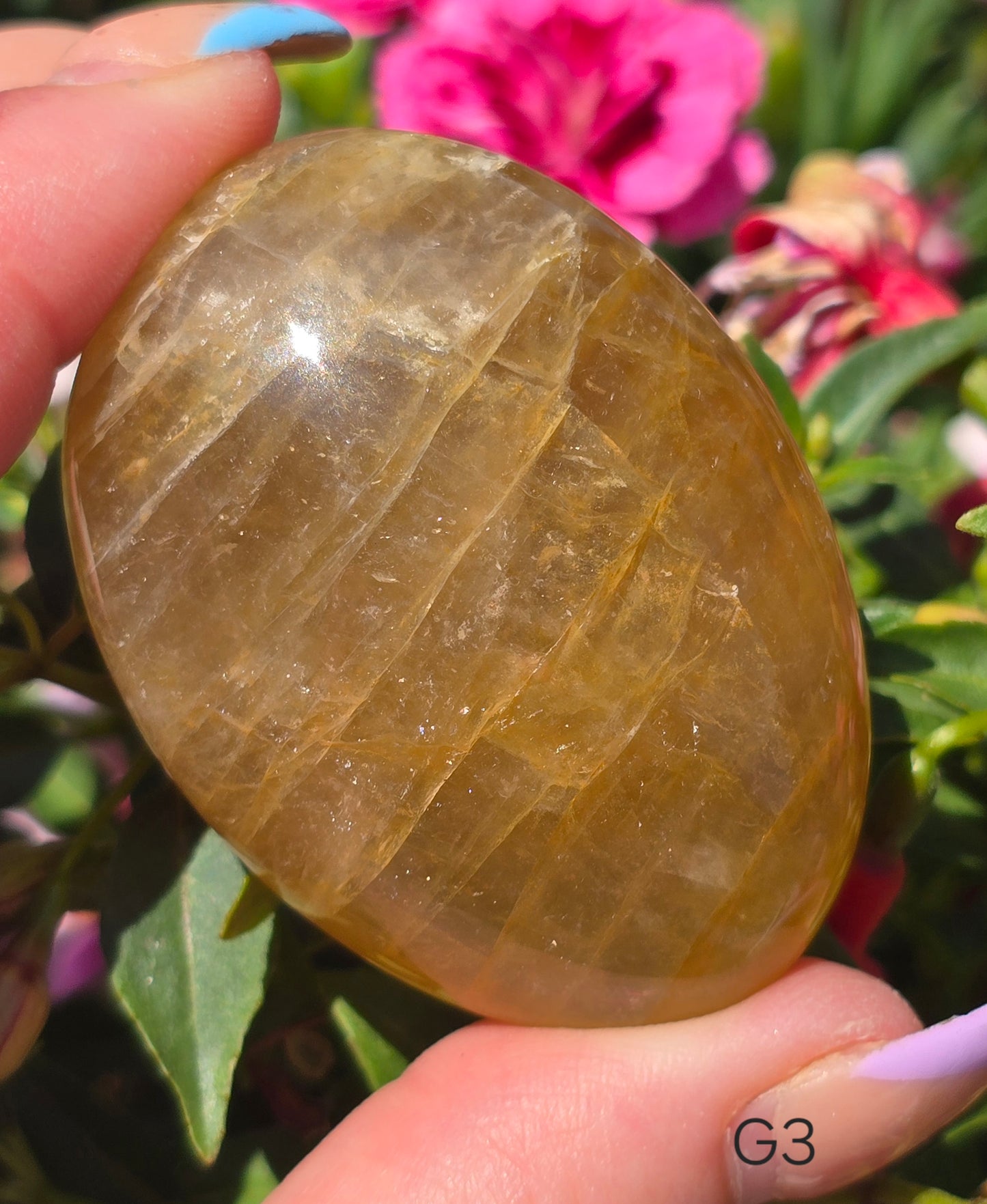 Various Palm Stones ✨️