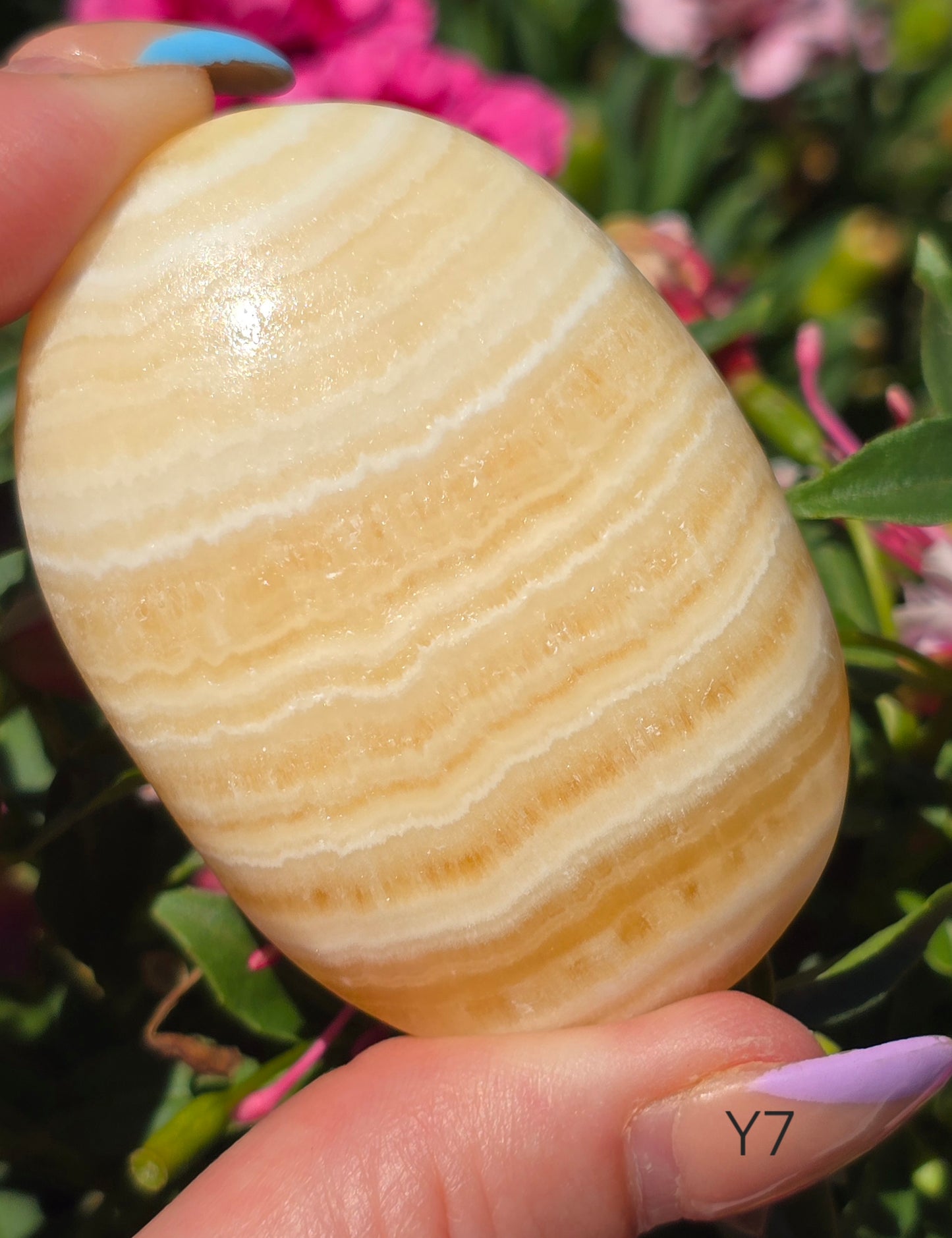 Various Palm Stones ✨️