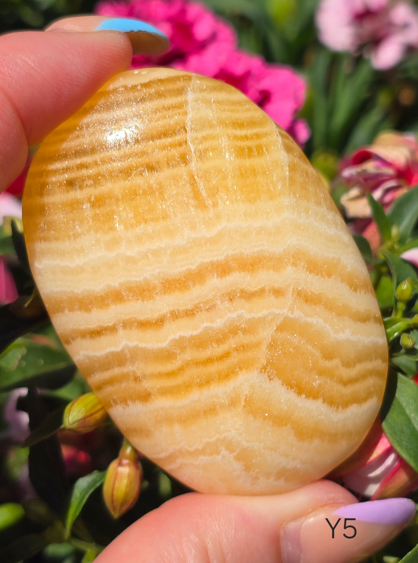 Various Palm Stones ✨️