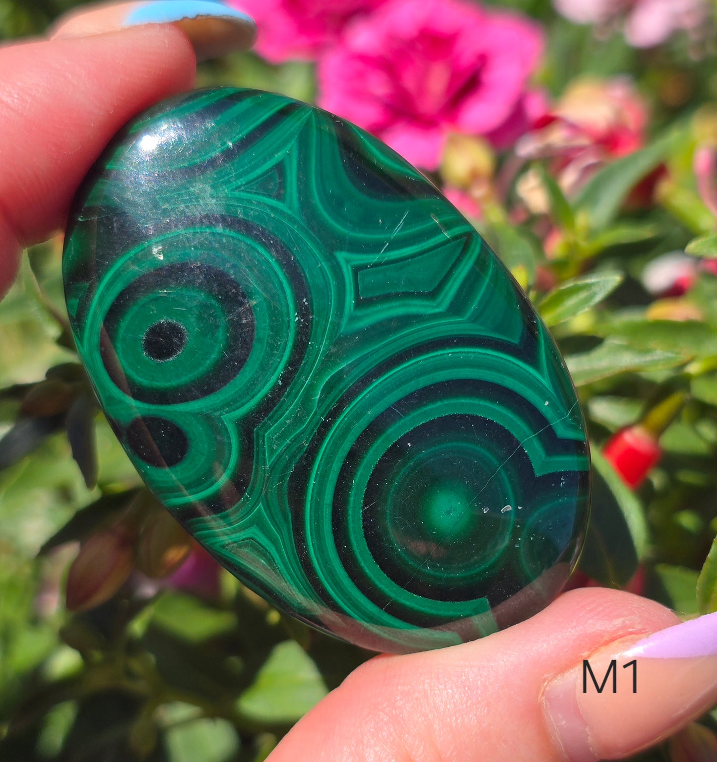Various Palm Stones ✨️